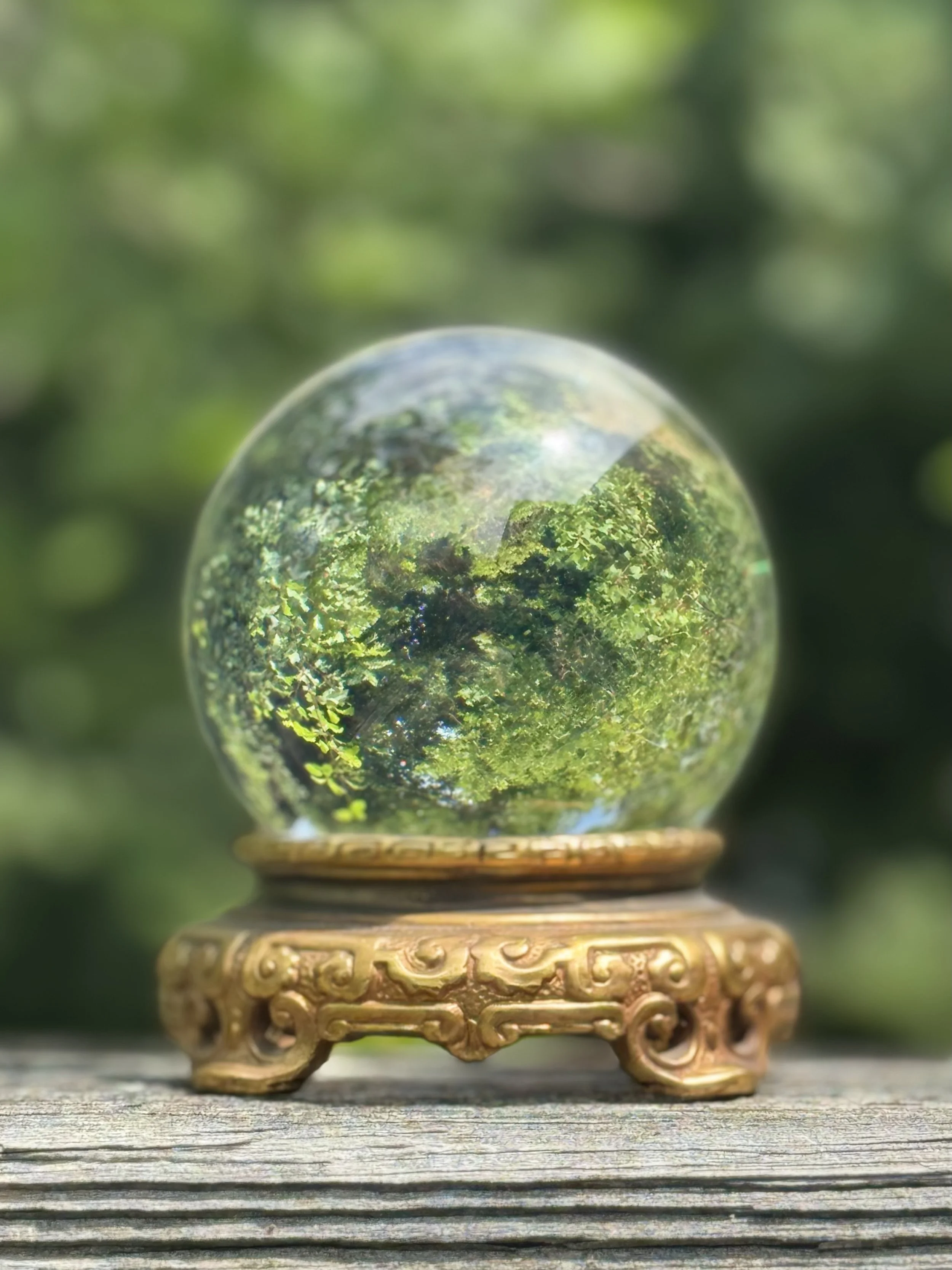 asian orb 5.jpg