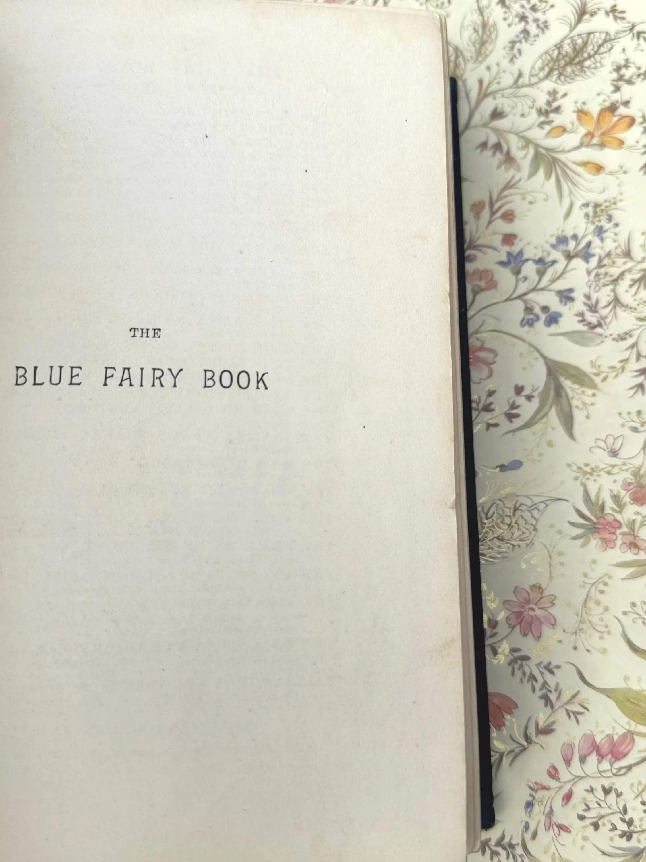 blue+fairy+book+3.jpg