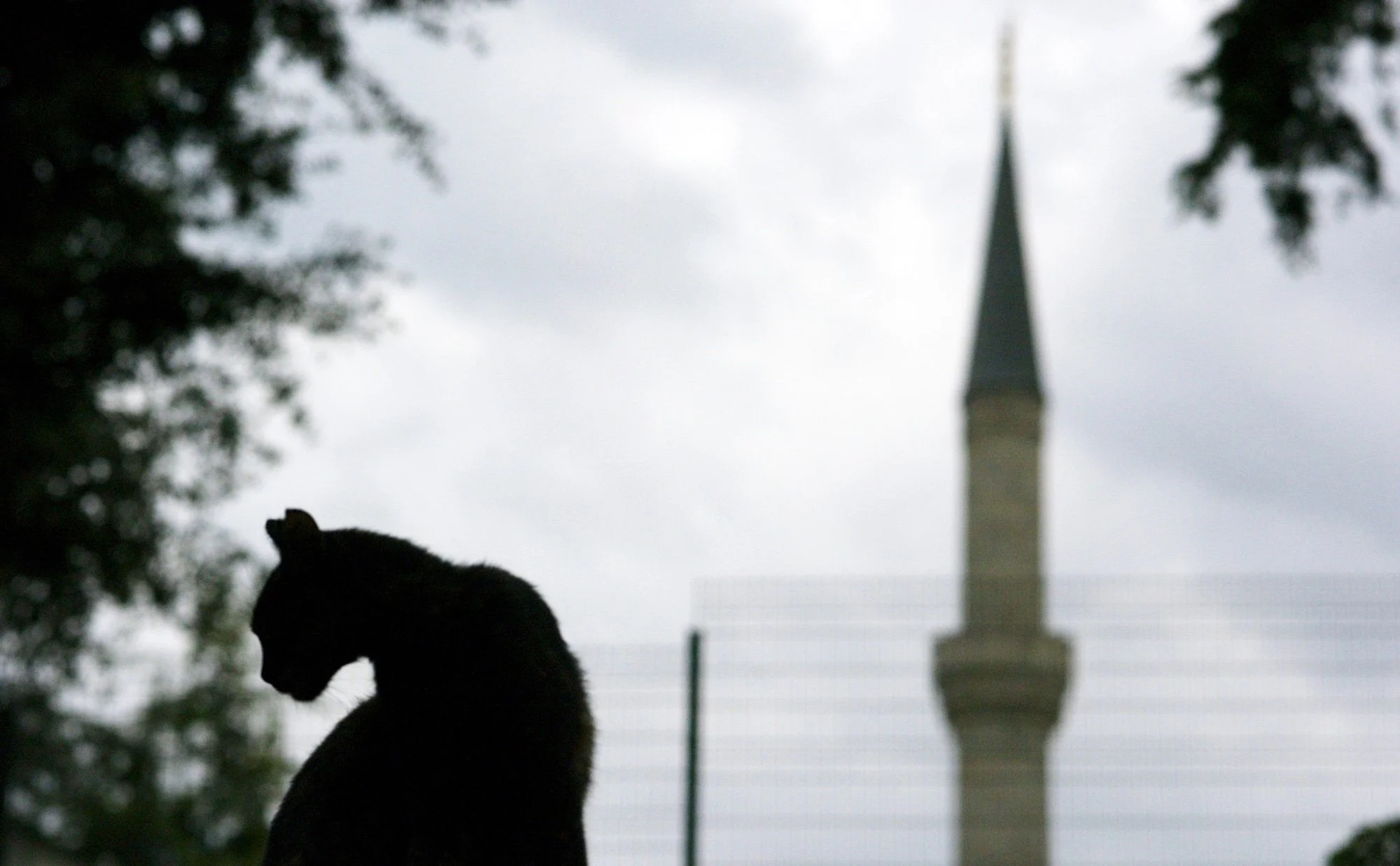 Istanbul, Türkiye