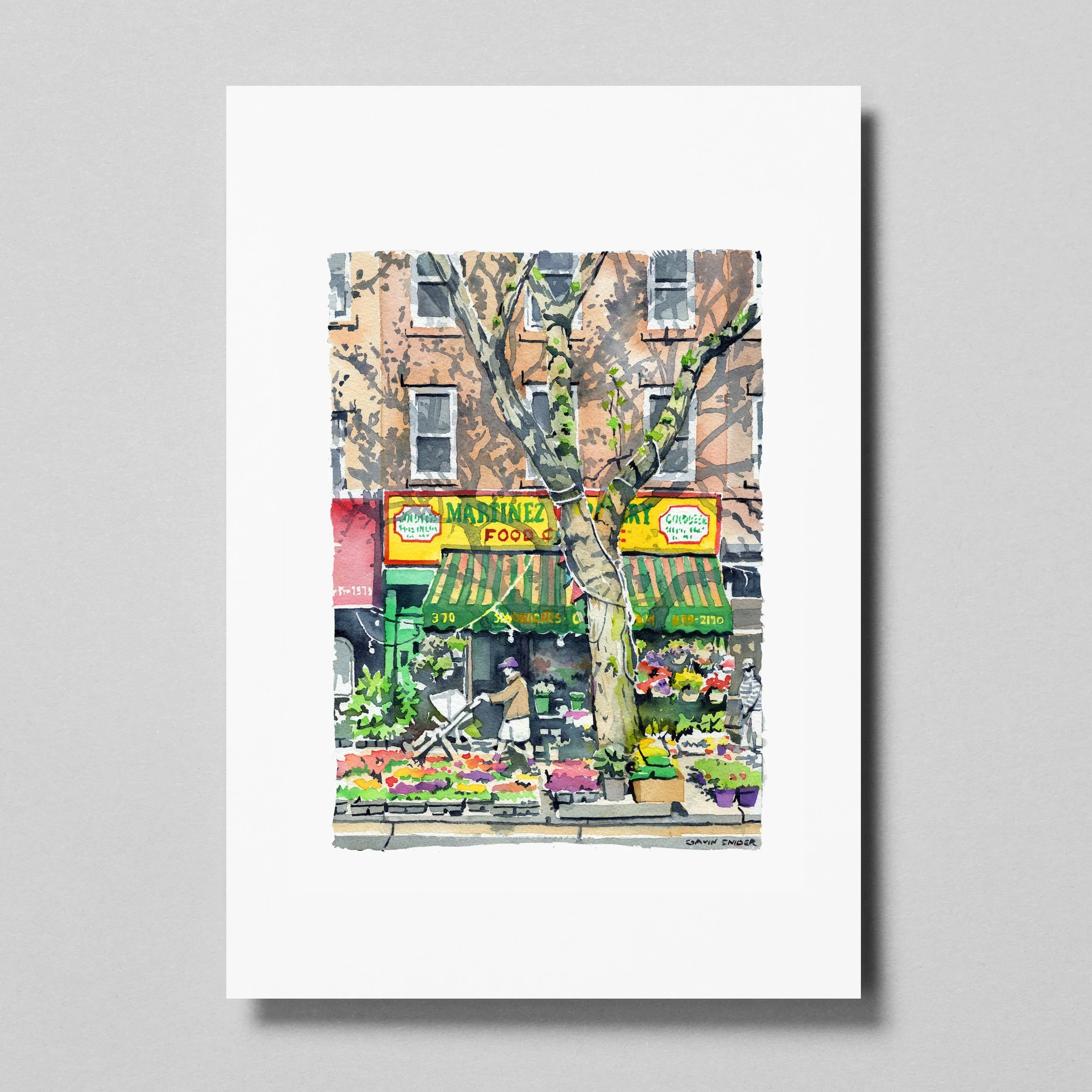 Court St Print.jpg
