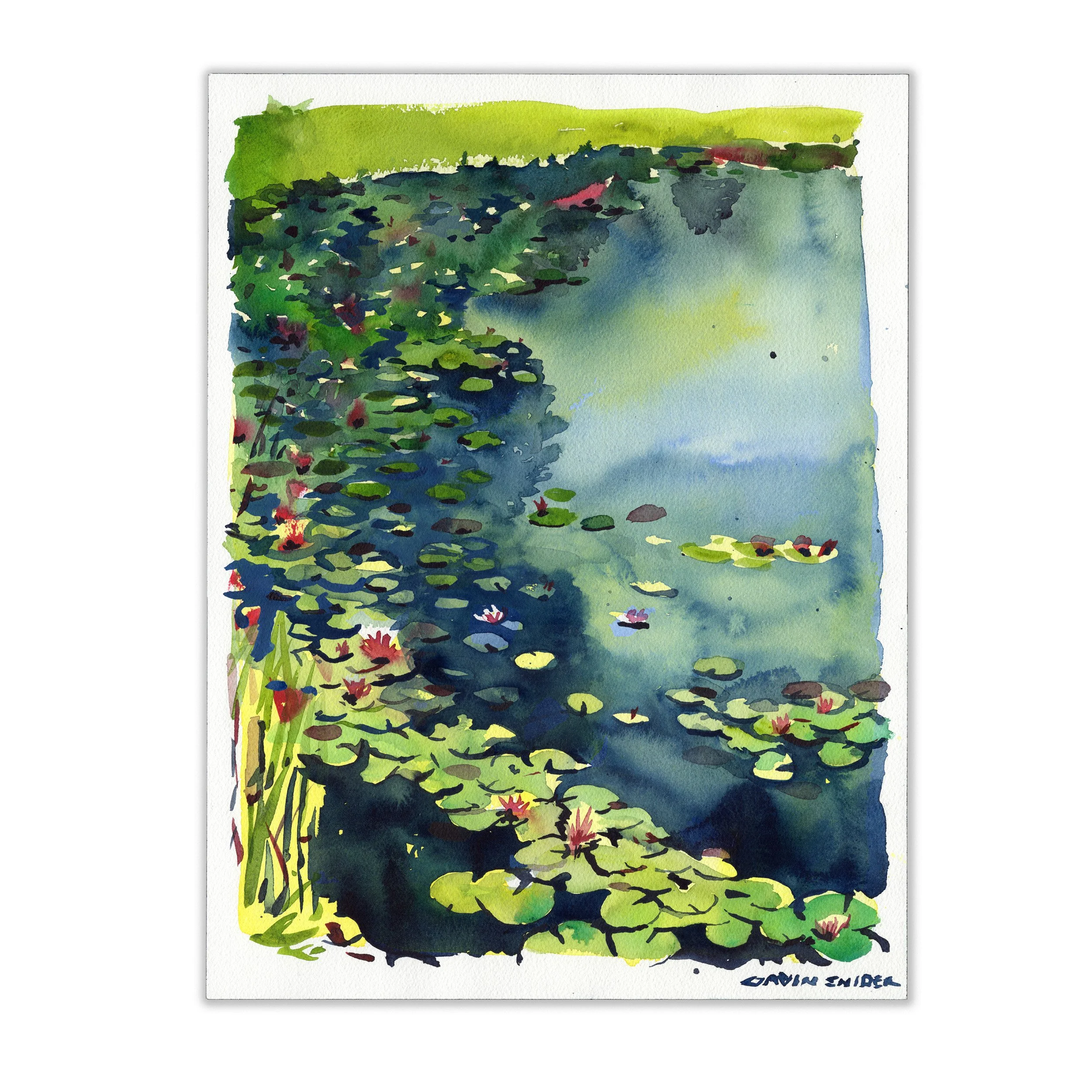 Waterlilies (Kansas)