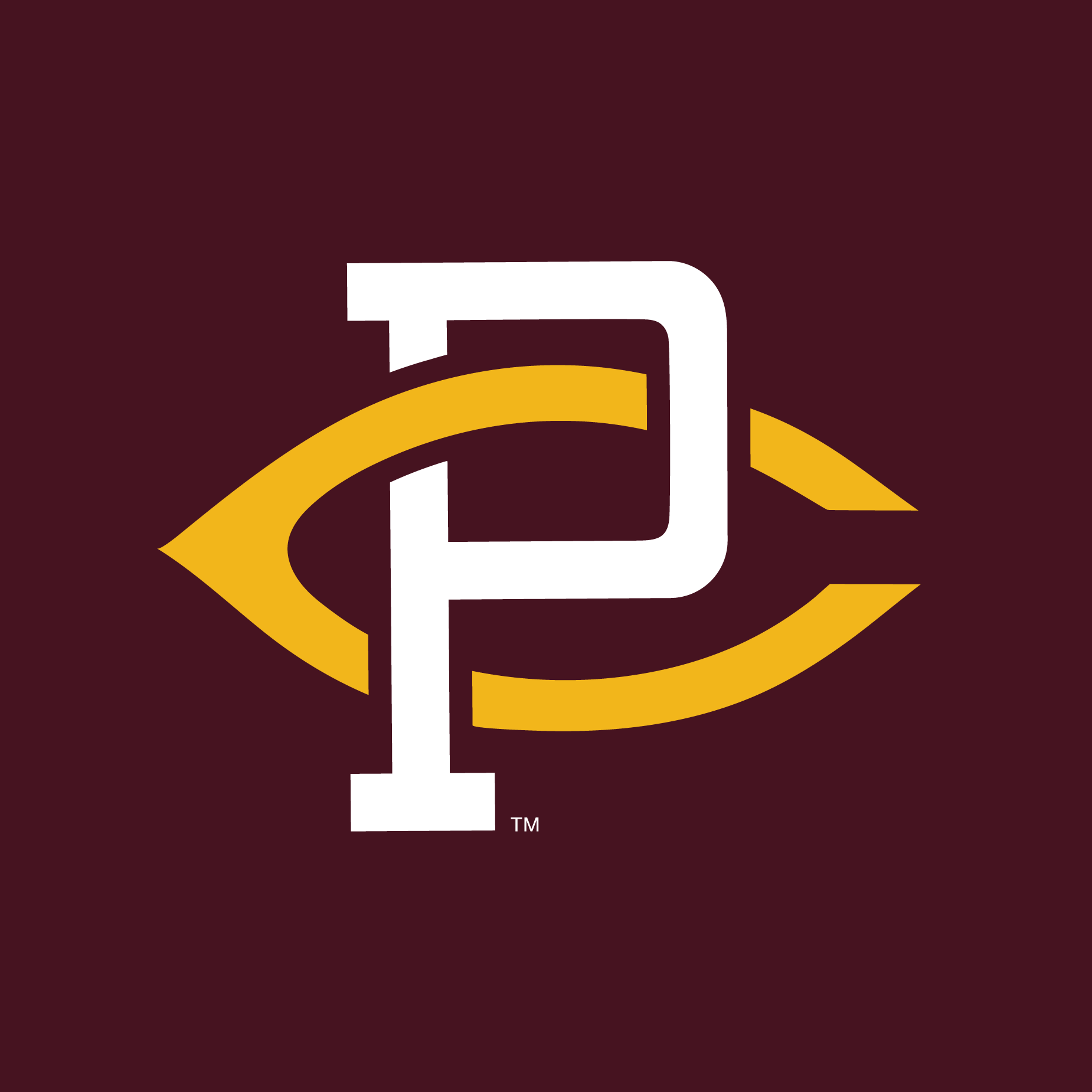 Nice Ones Website - Logos-52.png