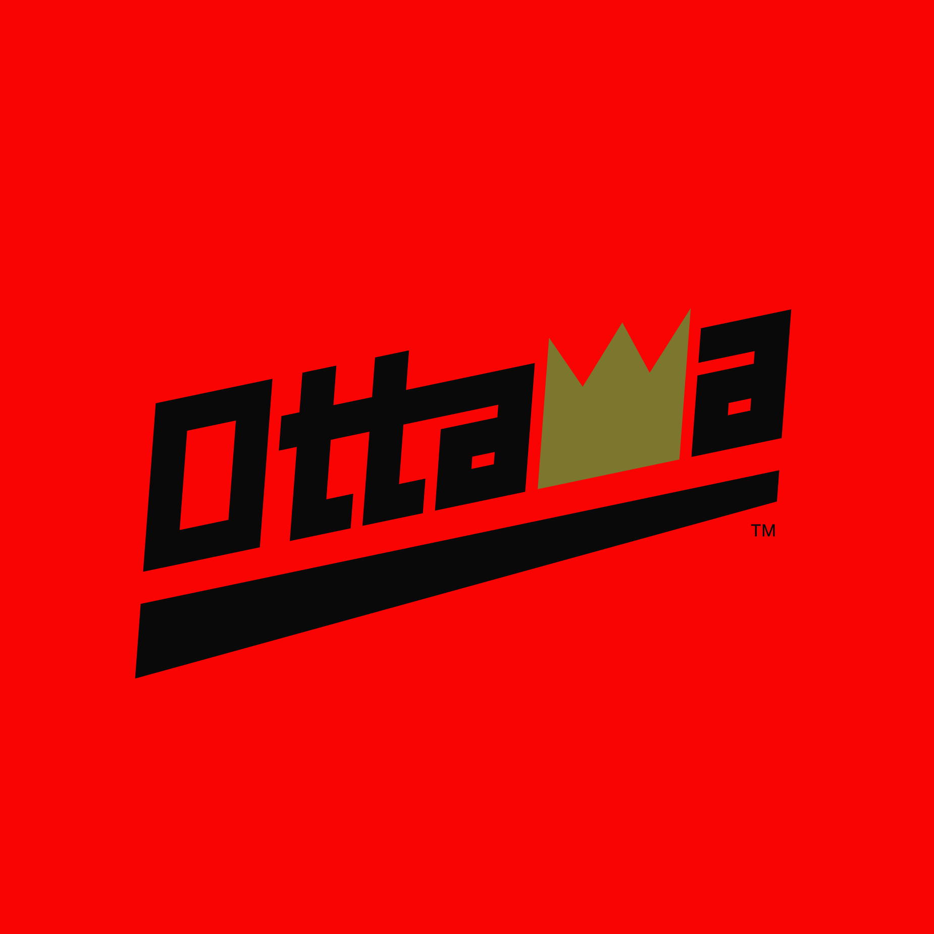 Nice Ones Website - Logos-41.png