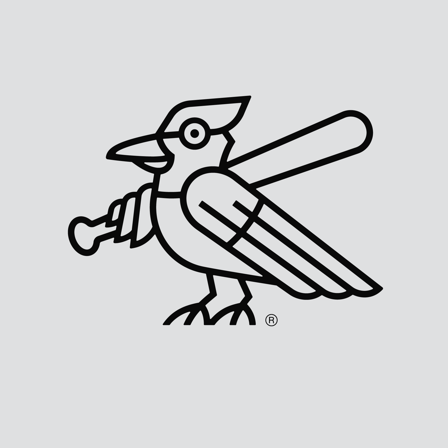 Nice Ones Website - Logos-19.png