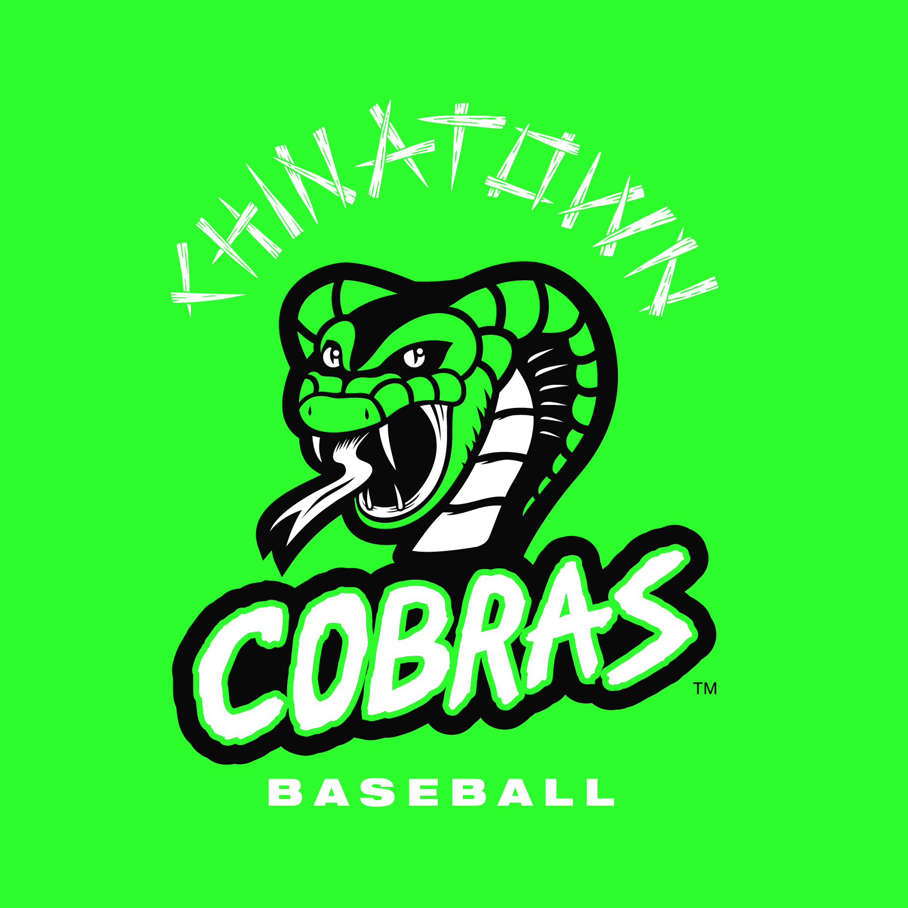 Nice Ones Website - Logos-55.png