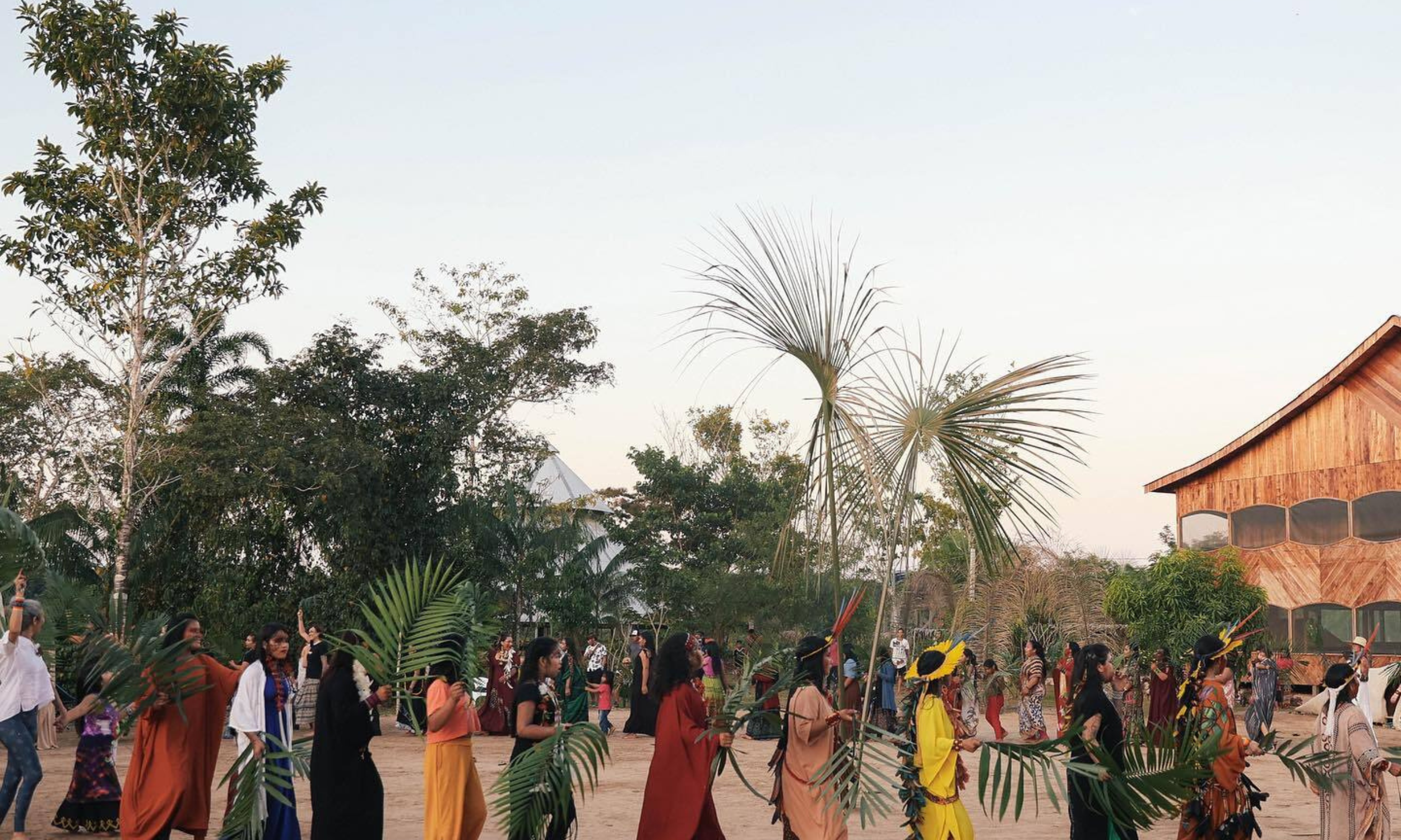 Musical Activation Experience: Rainforest Edition