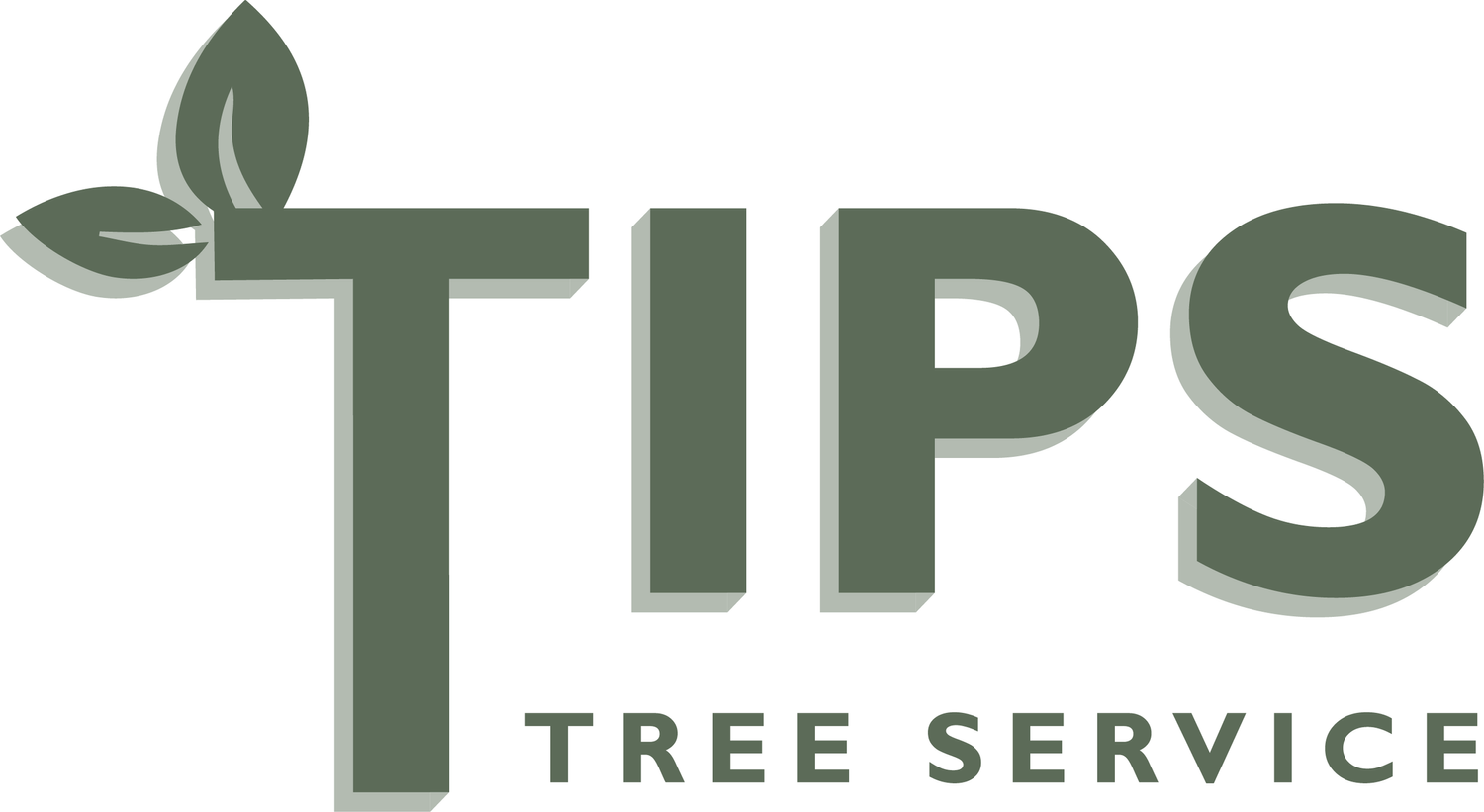 Tips Tree Service