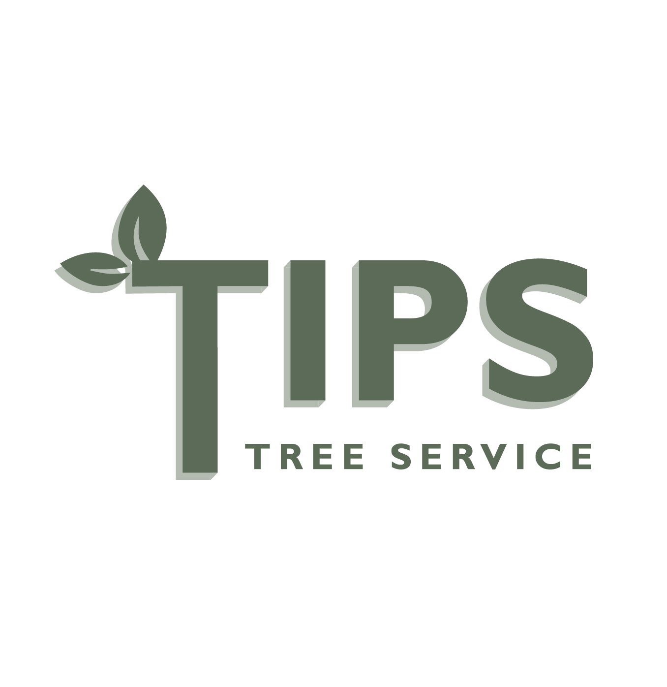 Tips Tree Service