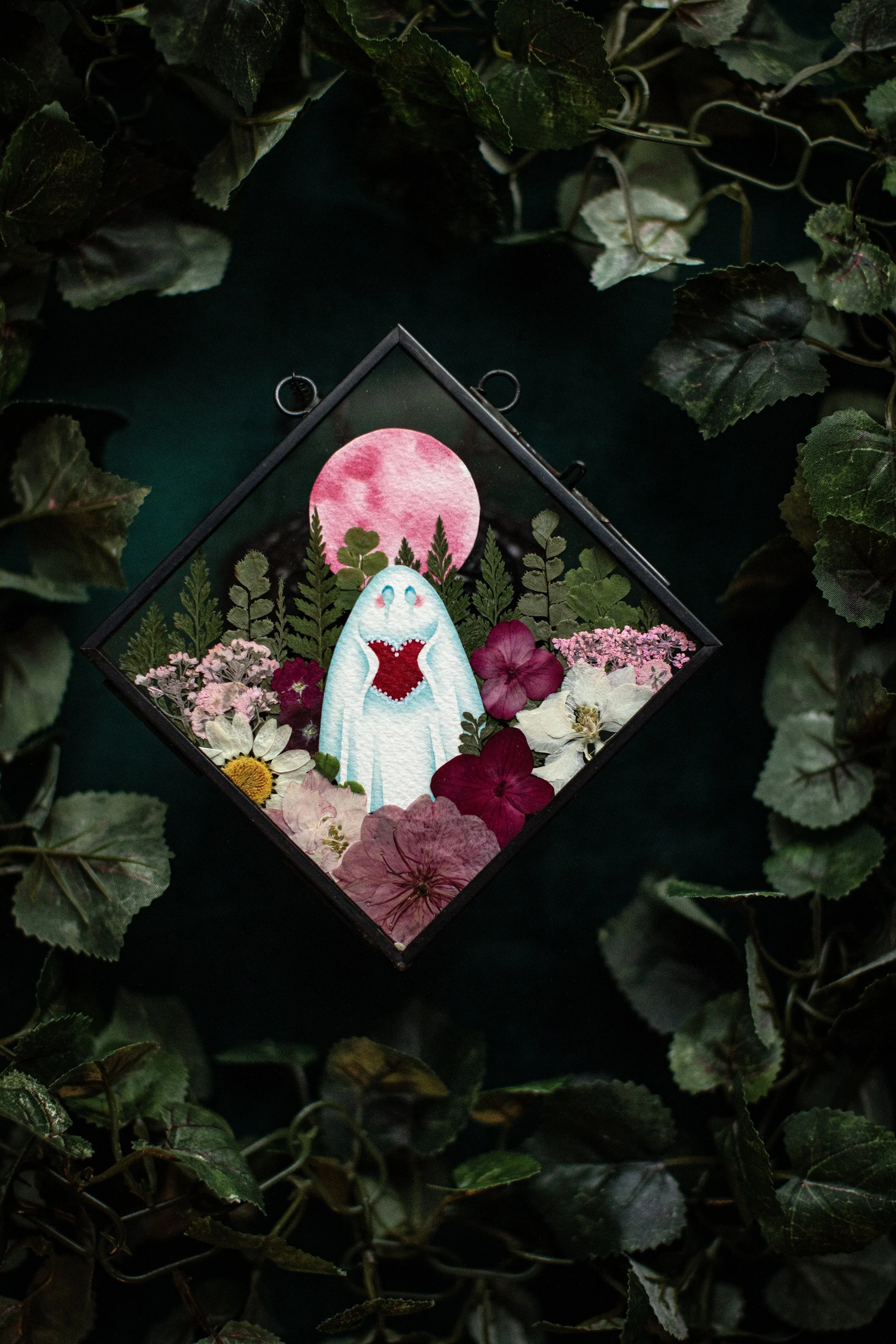 Freesia - Medium Garden Ghost