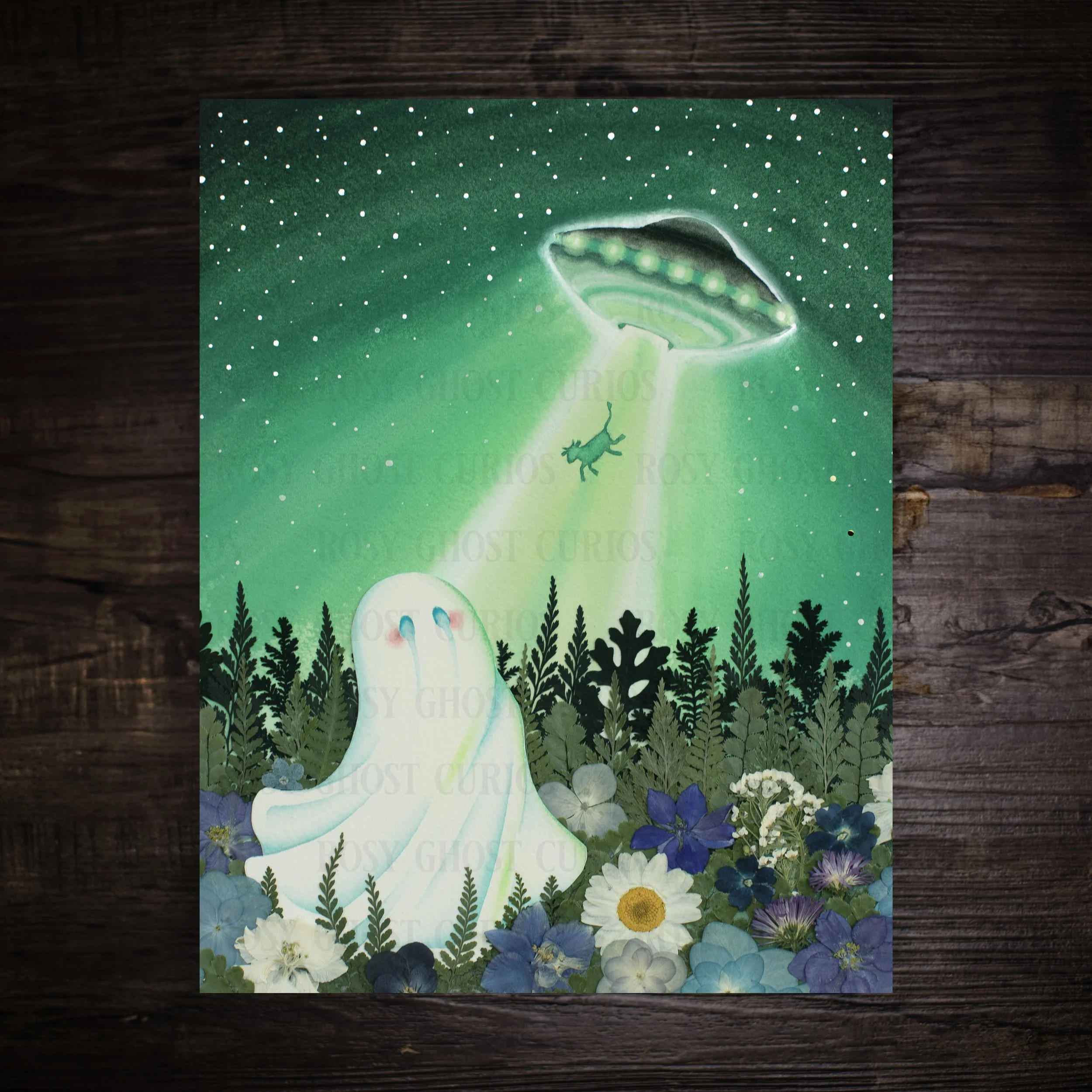 Rosy-Ghost-Curios-Alien-Abduction.jpg