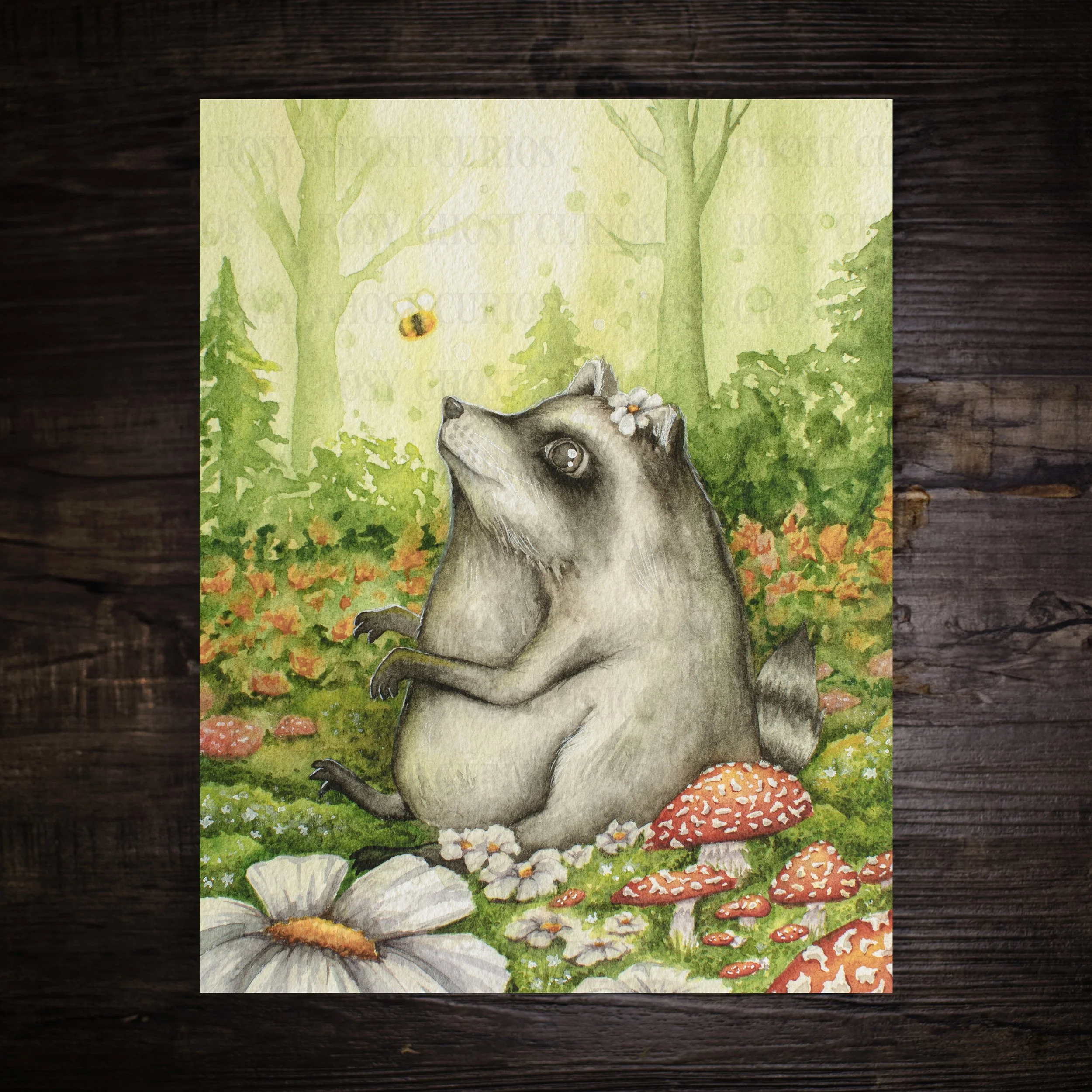 Jimothy-Print-8x10.jpg