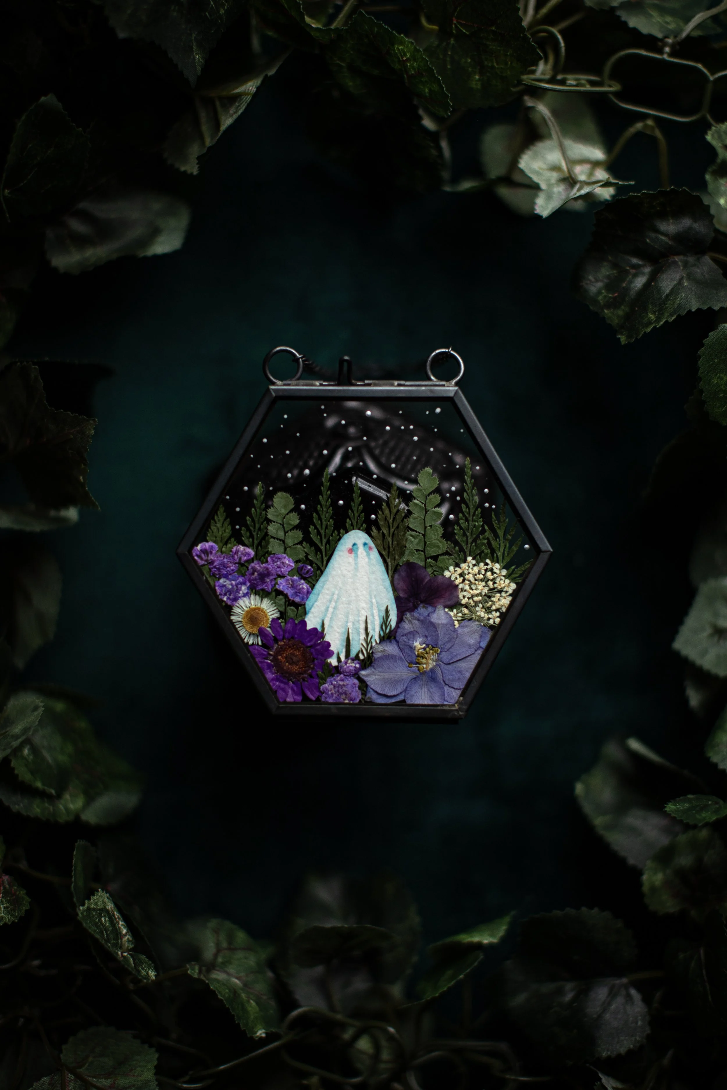 Bergenia - Small Garden Ghost