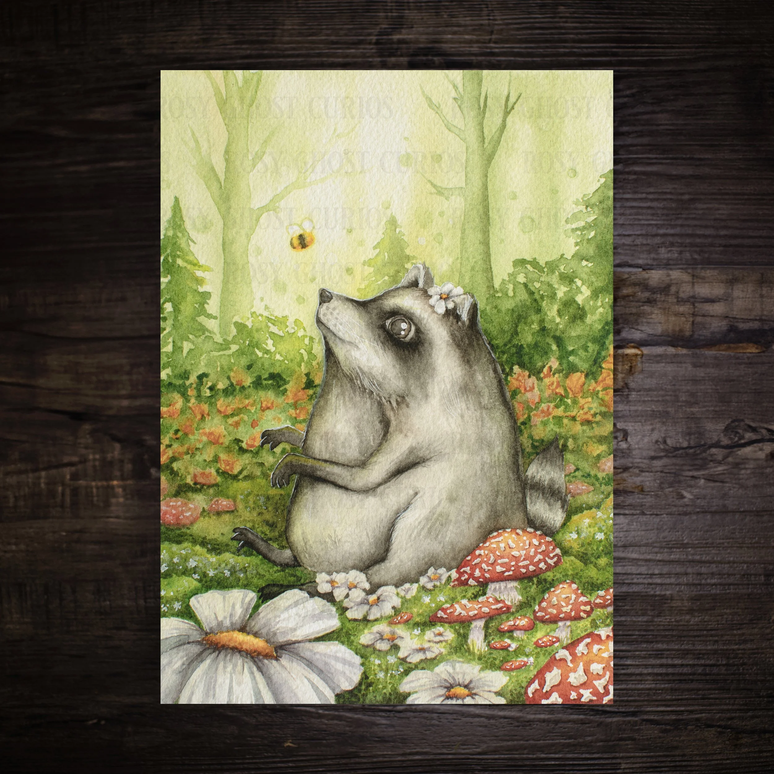 Jimothy-Print-5x7.jpg