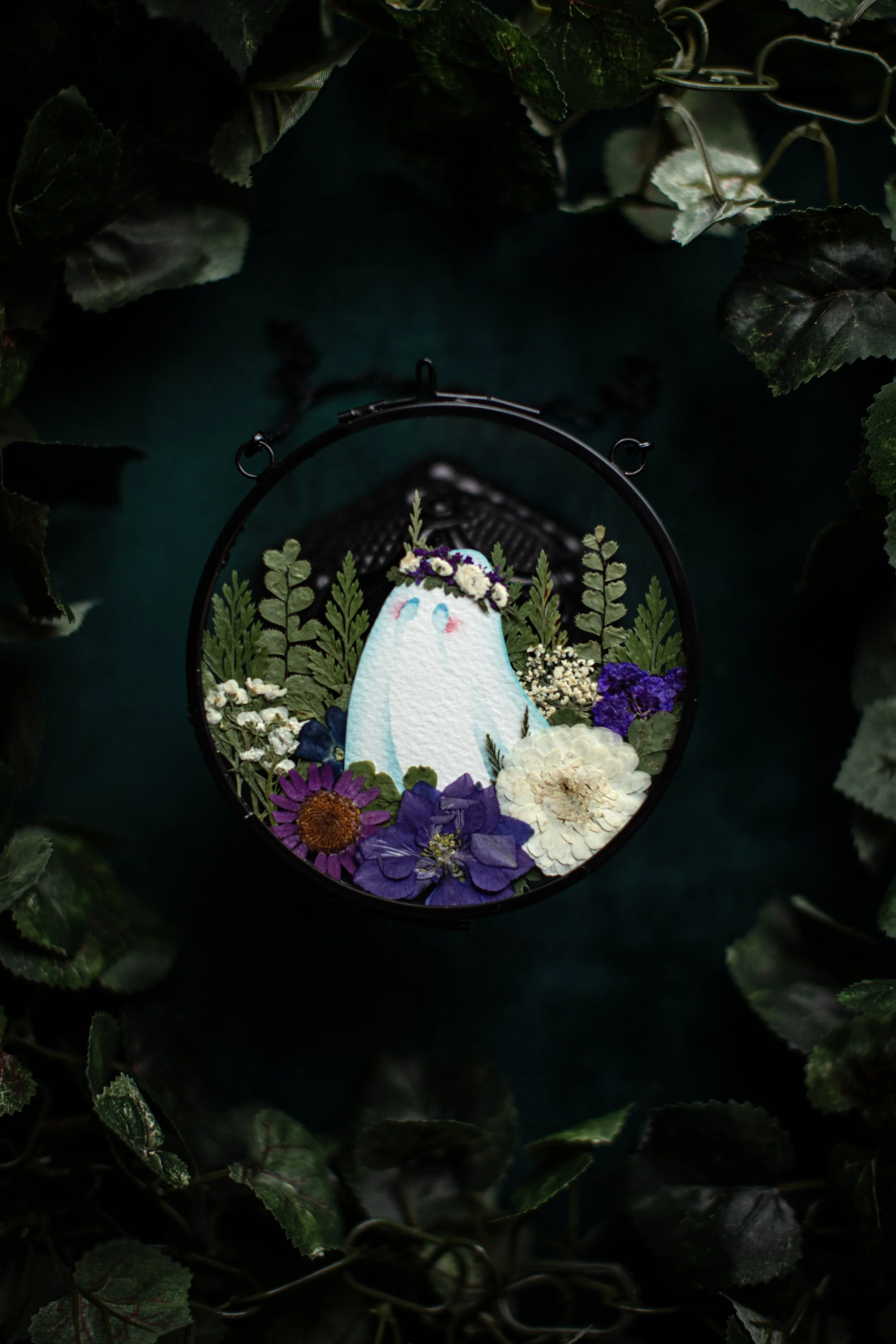 Candytuft - Medium Garden Ghost