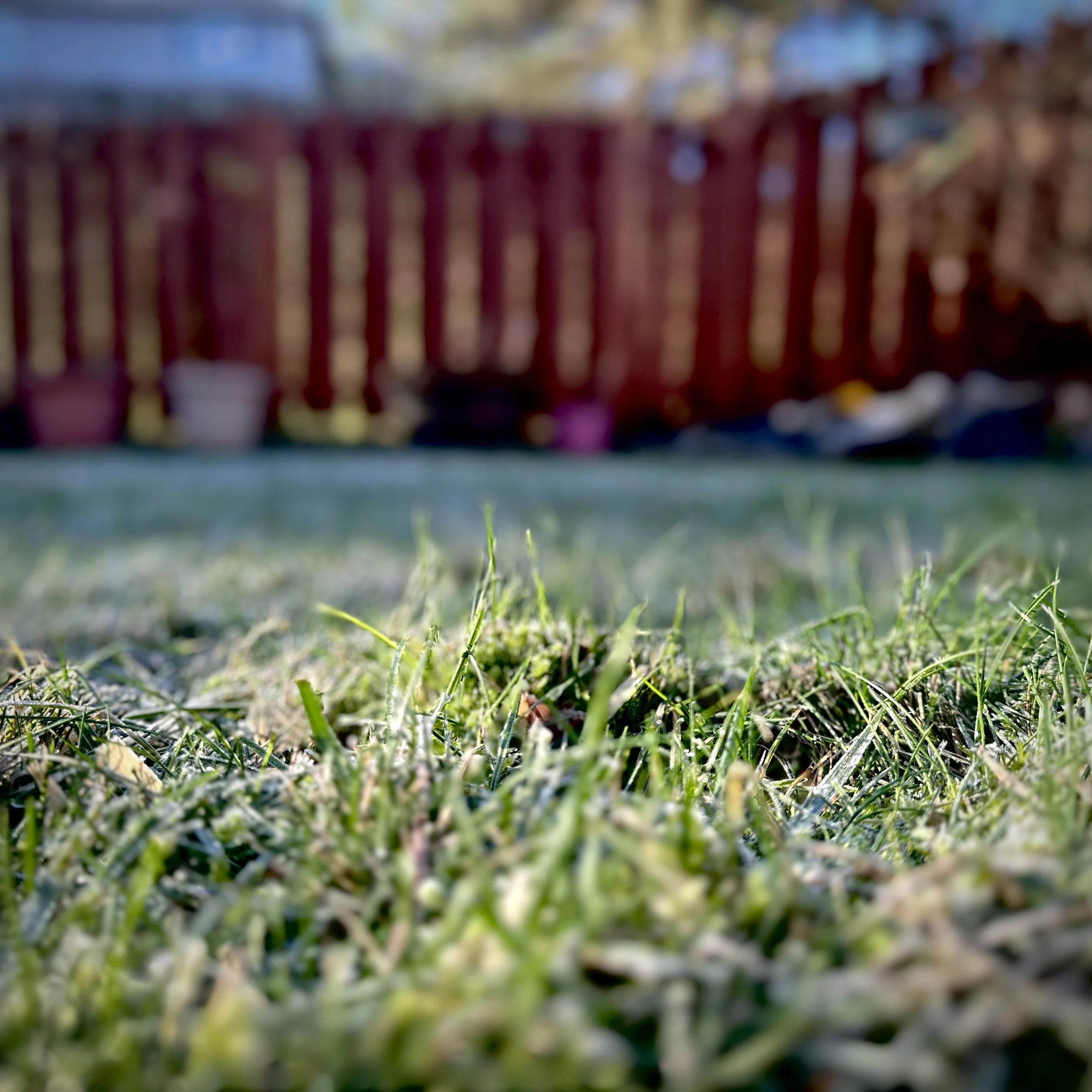 The boy on the oak stair