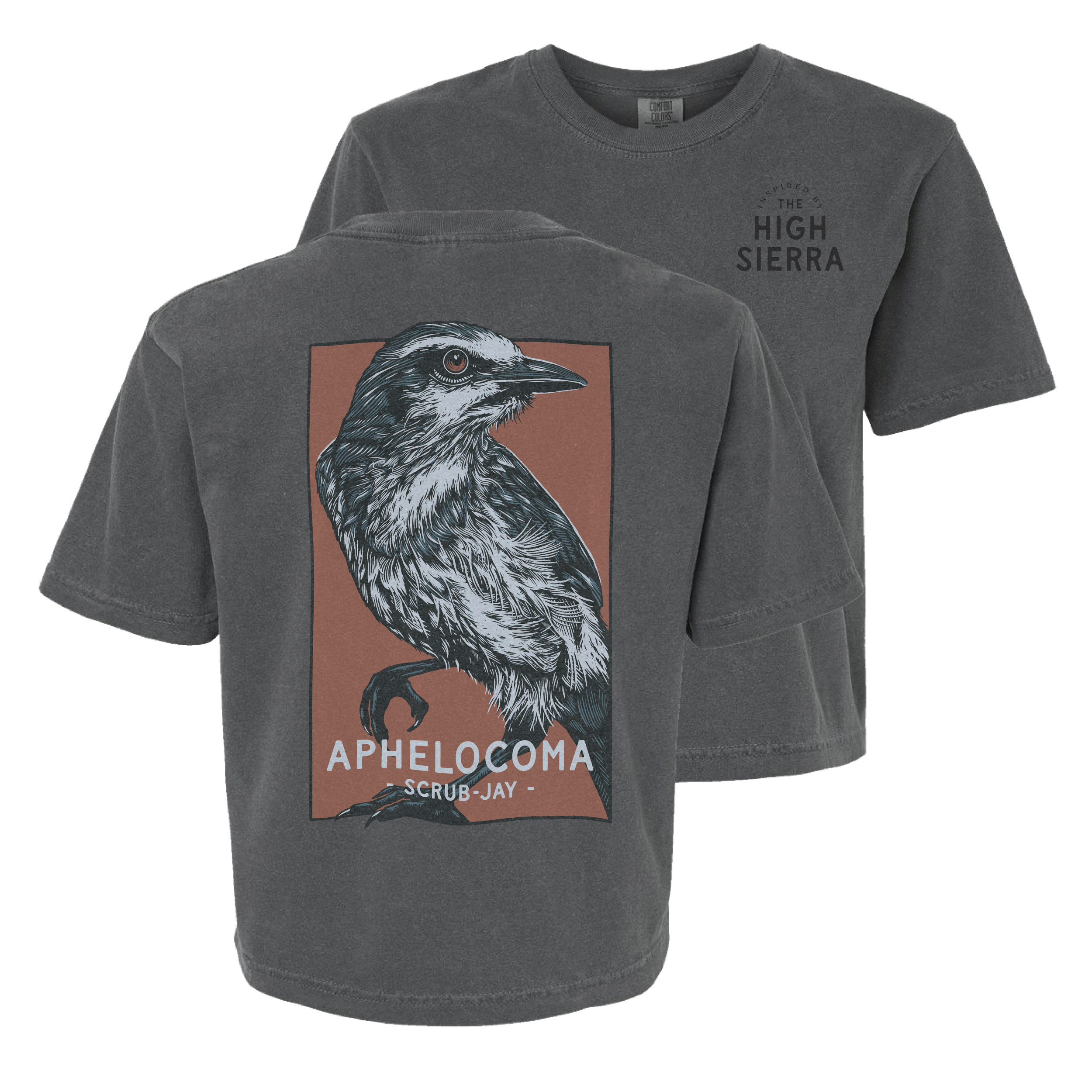 Scrub Jay Crop Sample.png