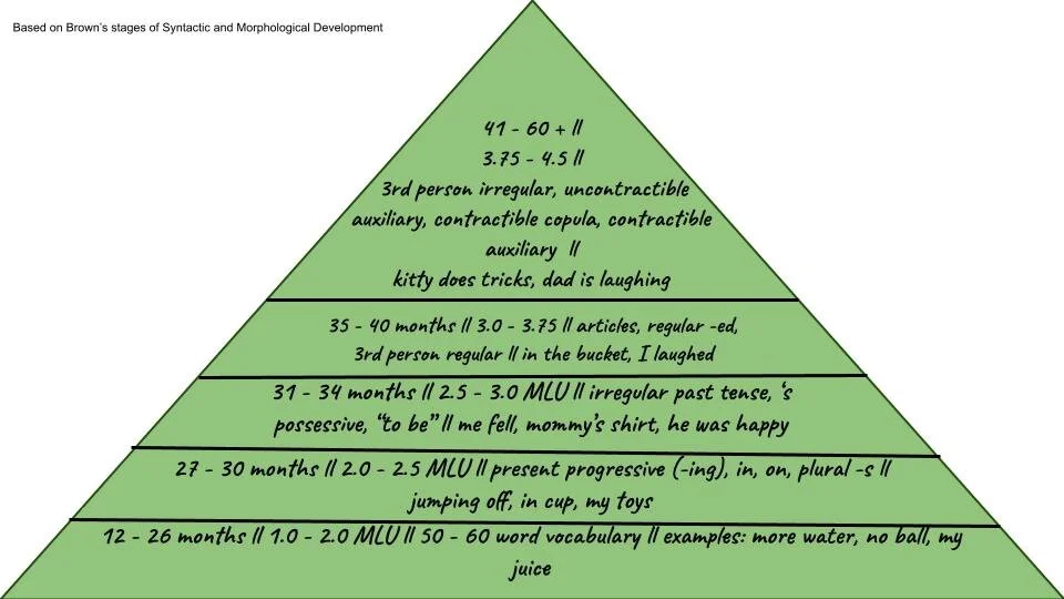 Language Development Norms — Evergreen Speech and Language, LLC