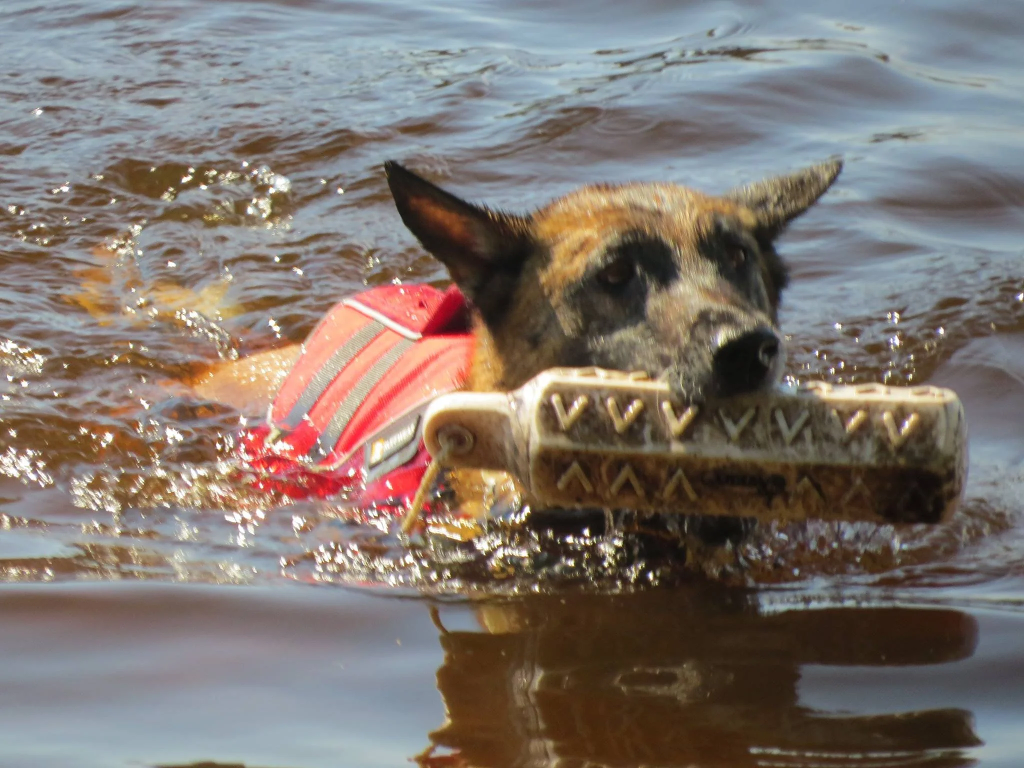 CSAR2016SWIM(4) - Copy.jpg