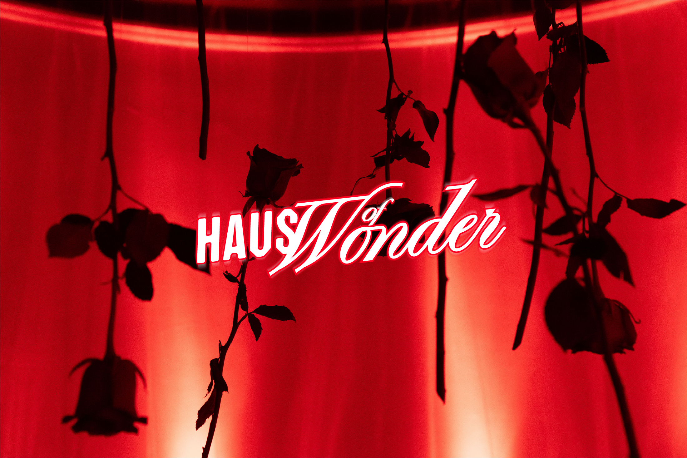 INTRODUCING HAUS OF WONDER