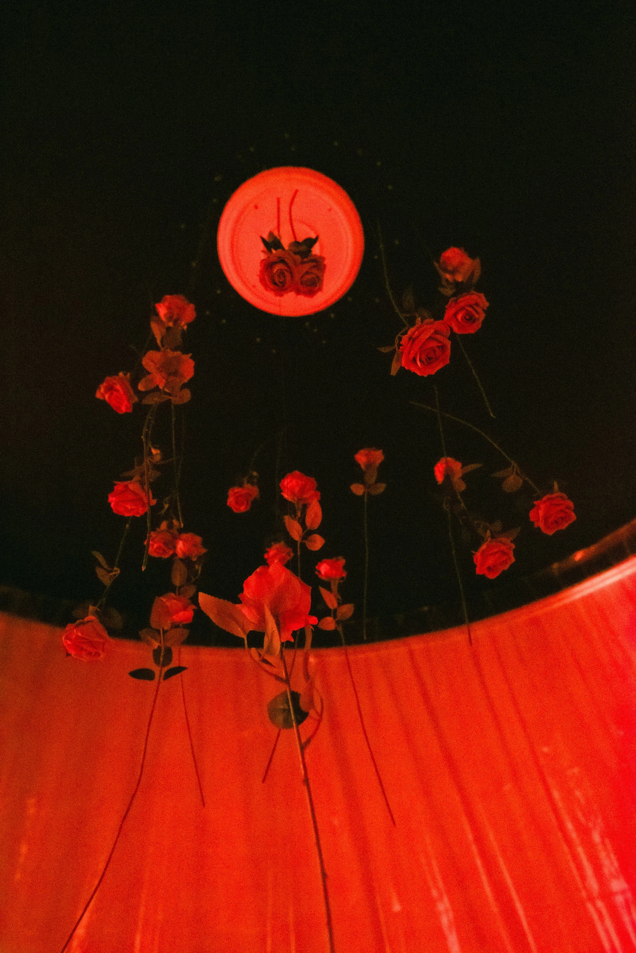 _D014116.jpg