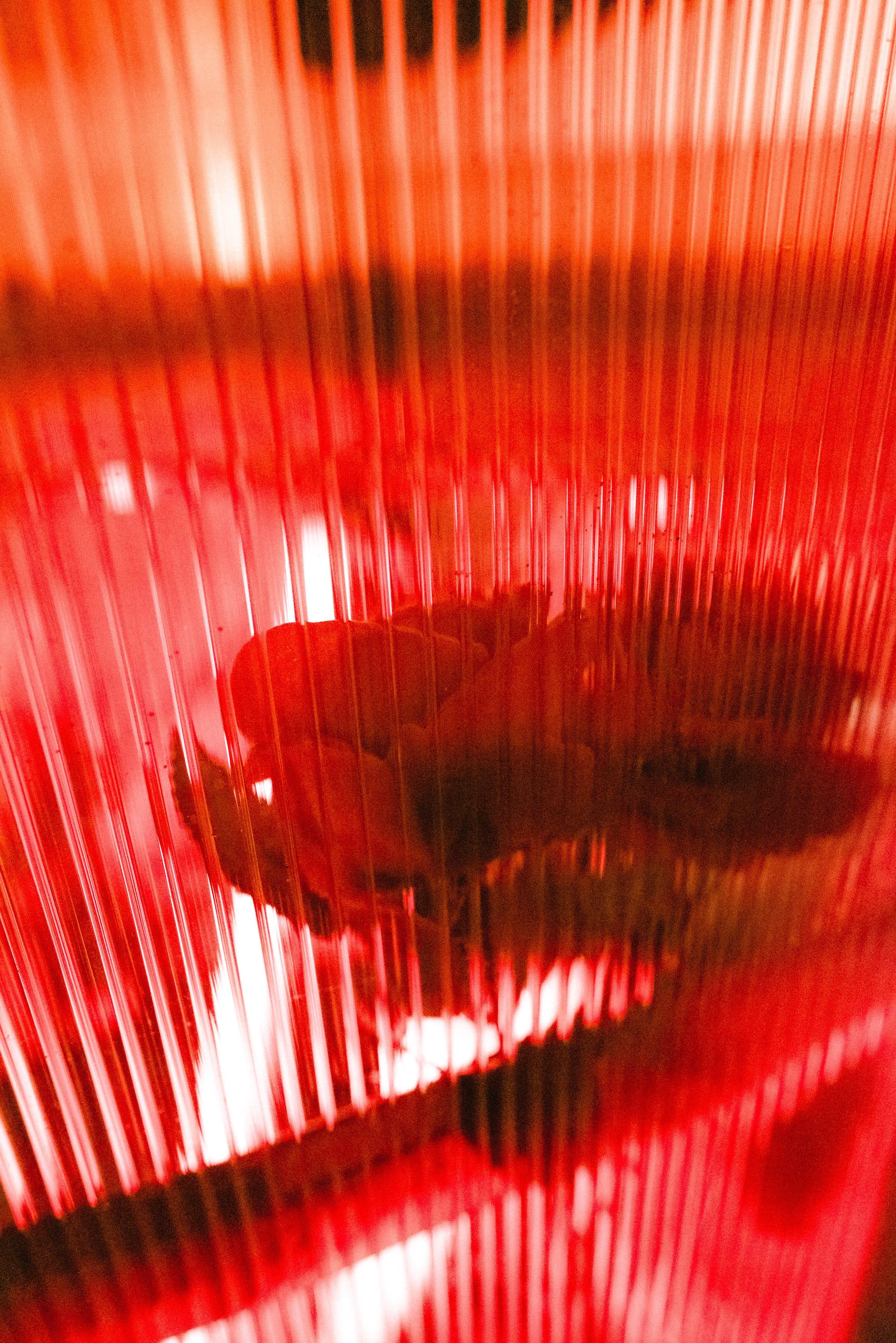 _D014119.jpg