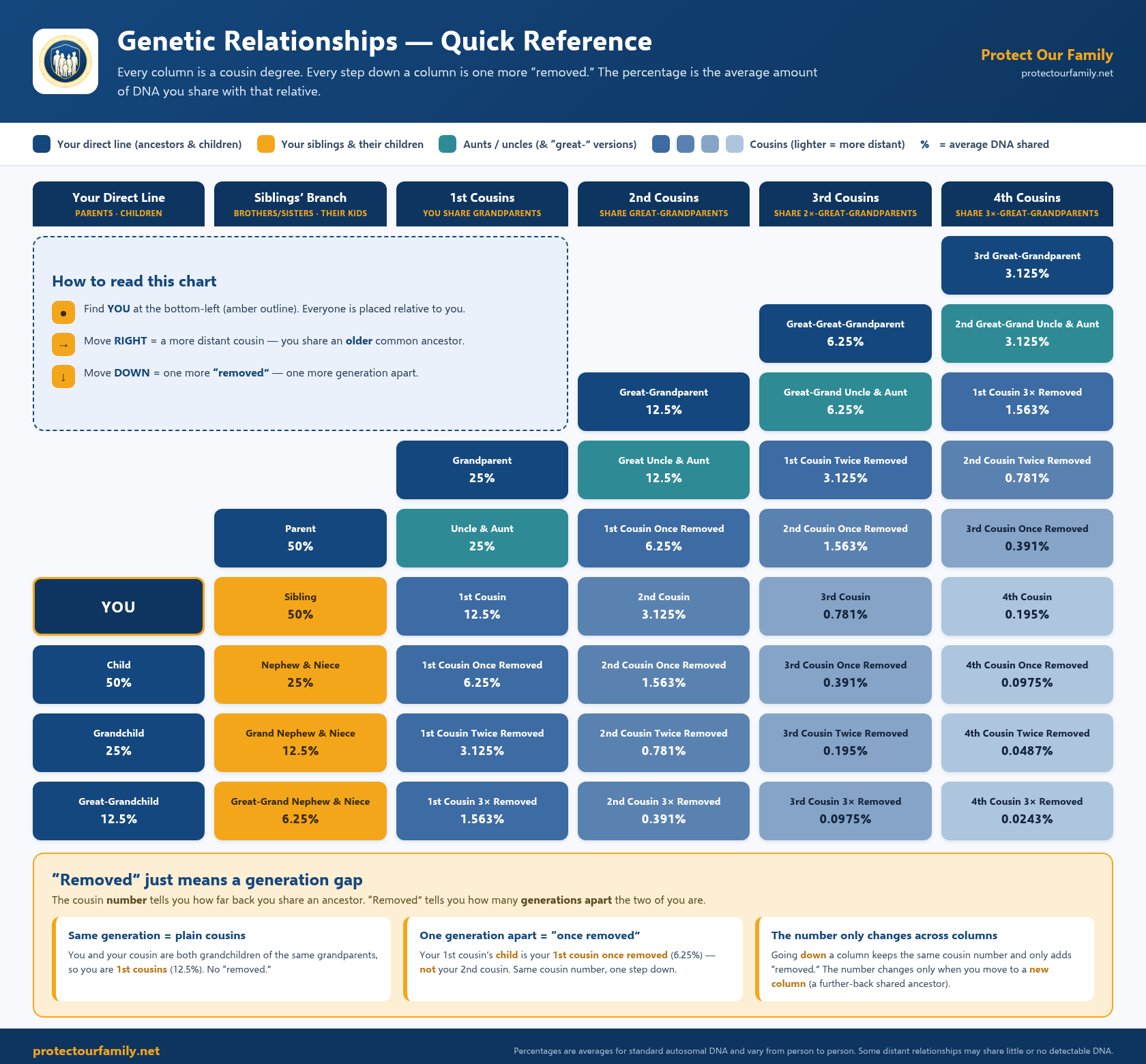 Family Tree Genetic explaining generations and remvoed