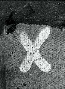 X MARKS THE SPOT?