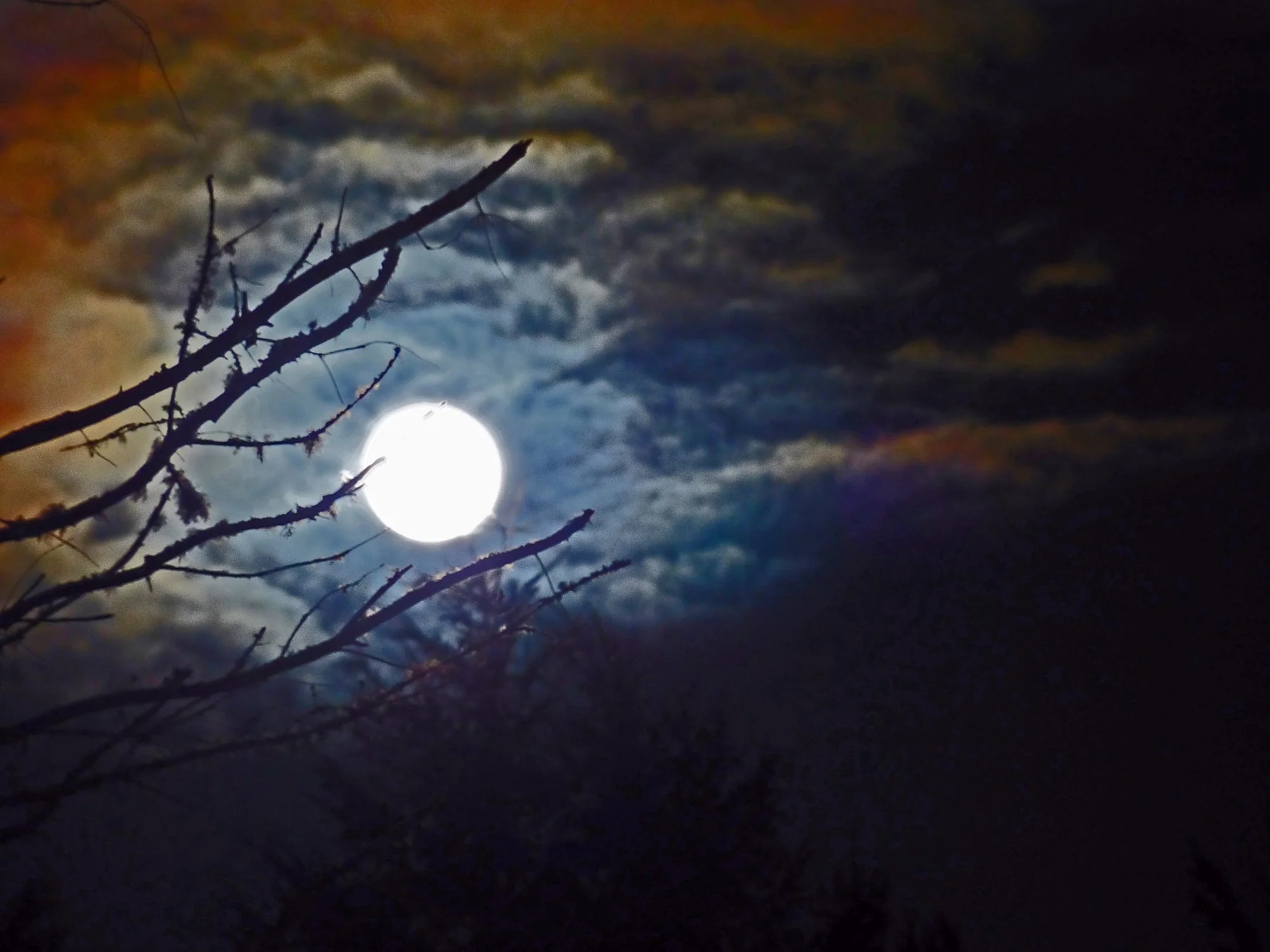 Moon Glow by Irma Suplee