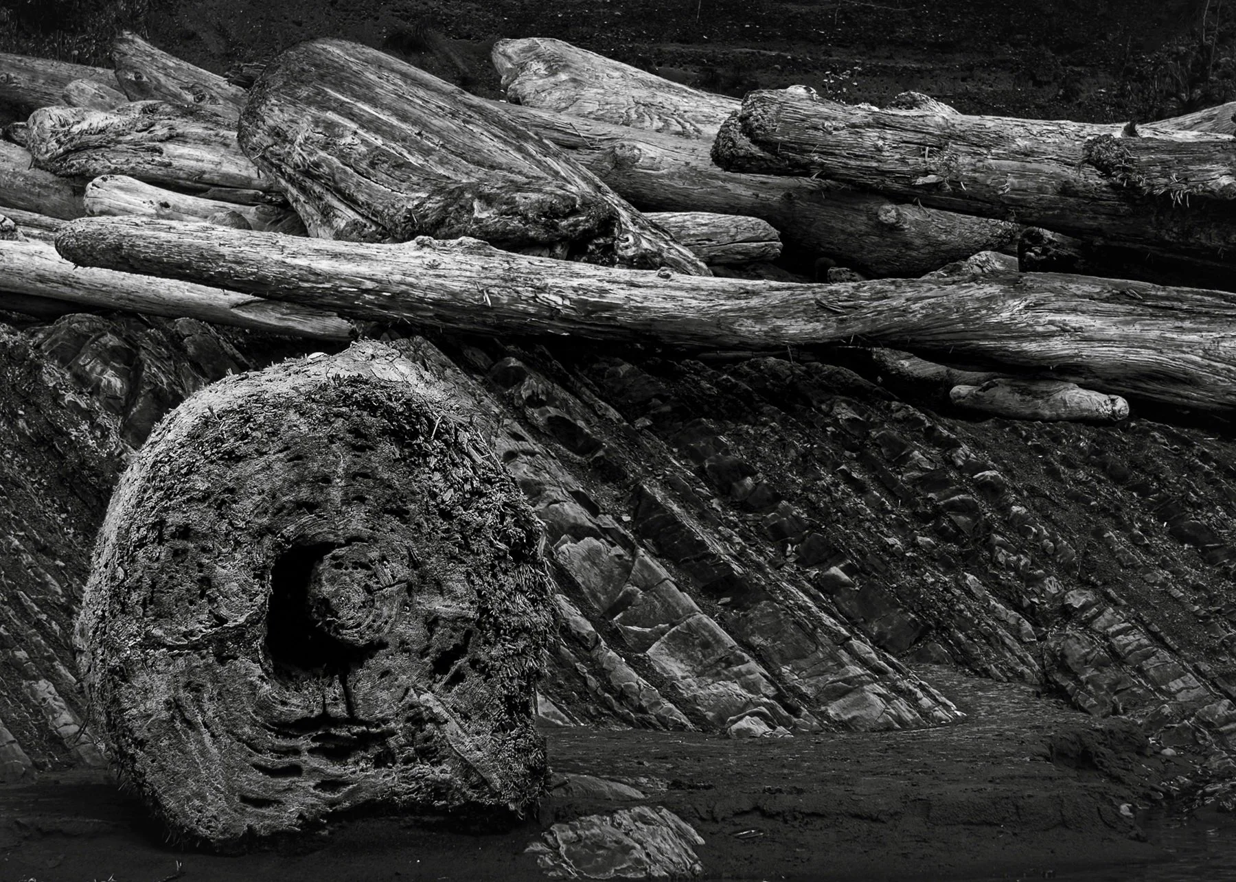 Olympic Beach (After) by Glen Wyatt