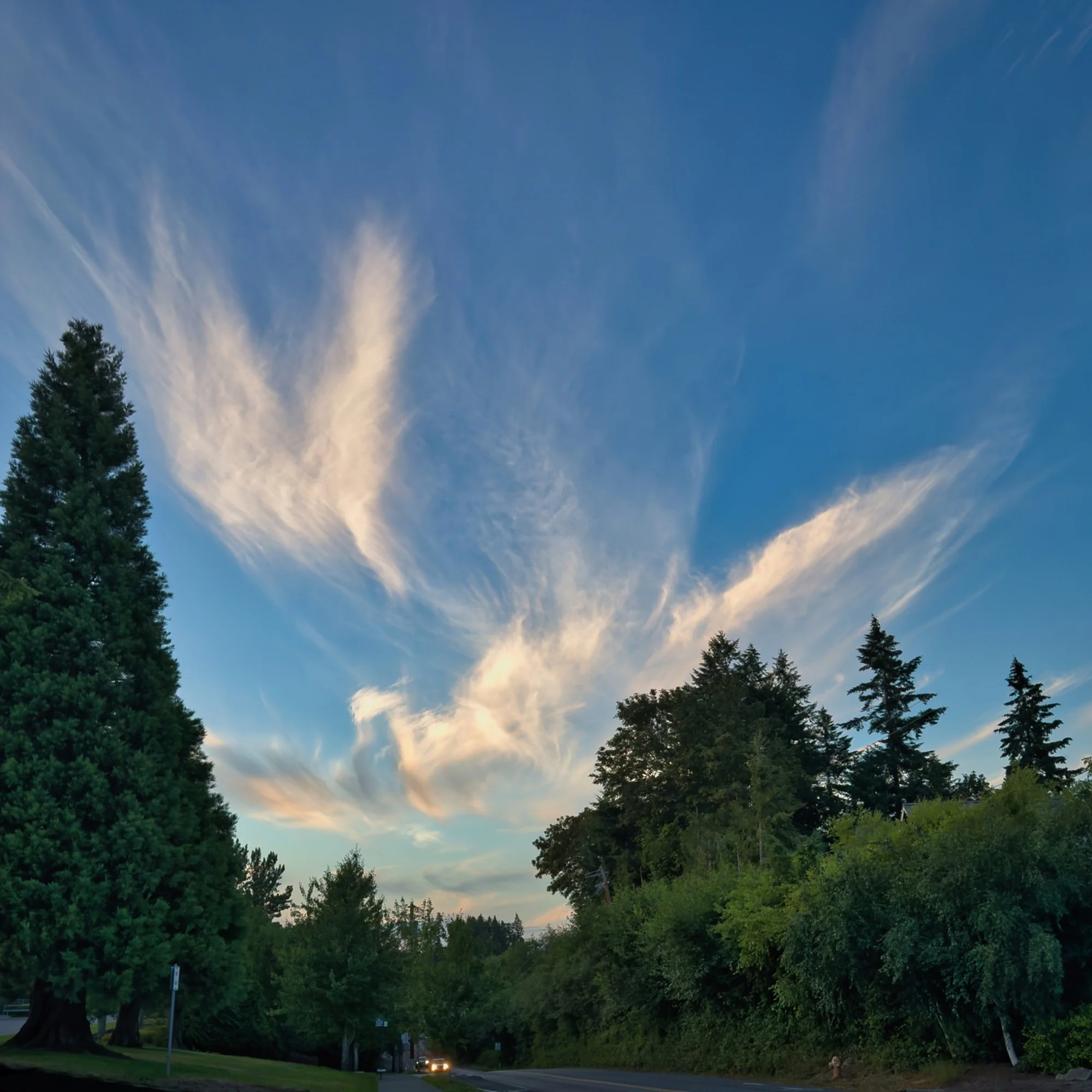 Evening Clouds (Before) by Paul Brians