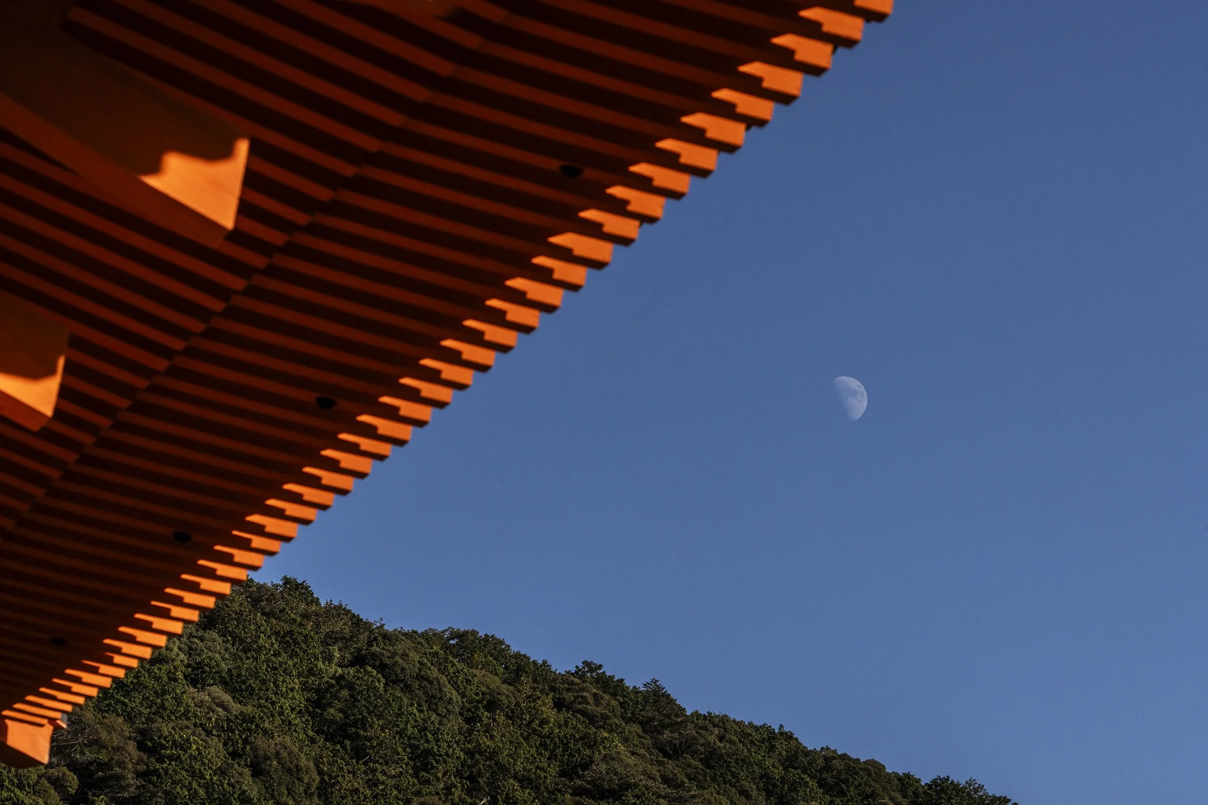 Kyoto Triangles by Dorothy Rosenbladt