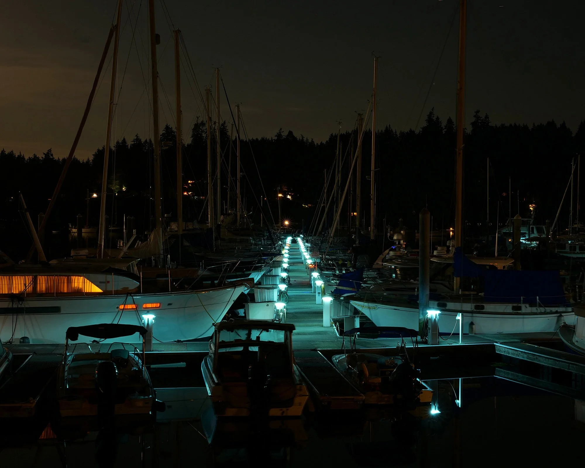 Harbor B by Hadley Chamberlain