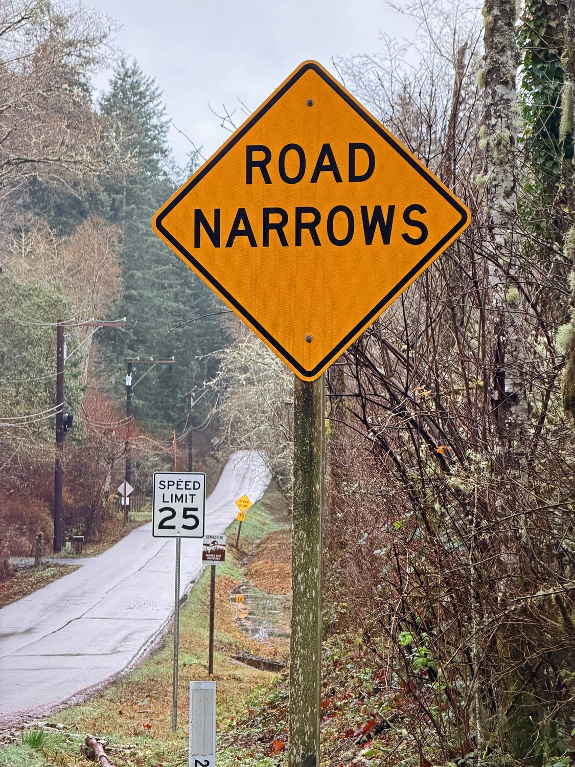 Warnings by Irma Suplee