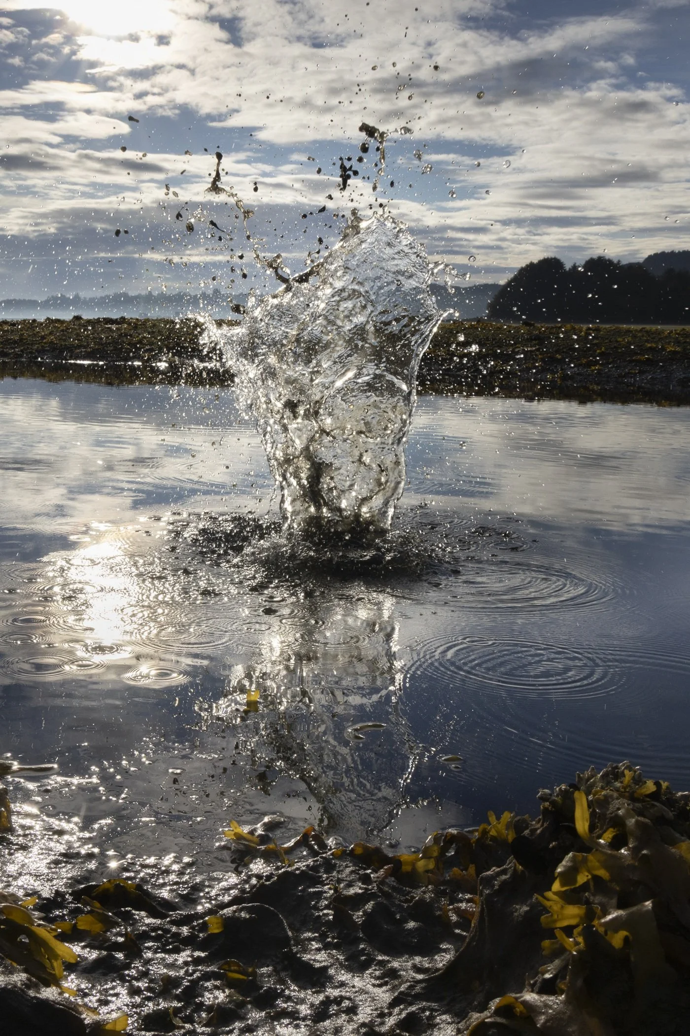 Kersplash by Bob Rosenbladt