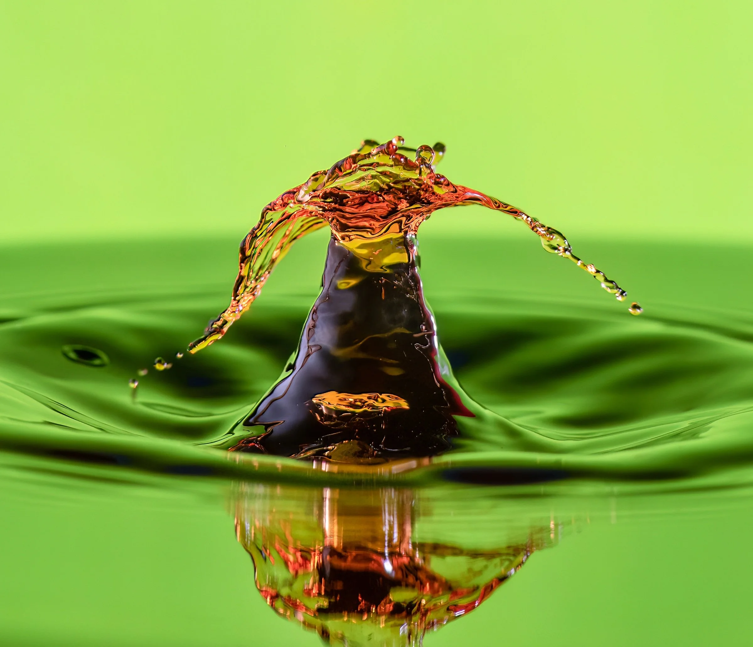 Alien by Diane Hutchings