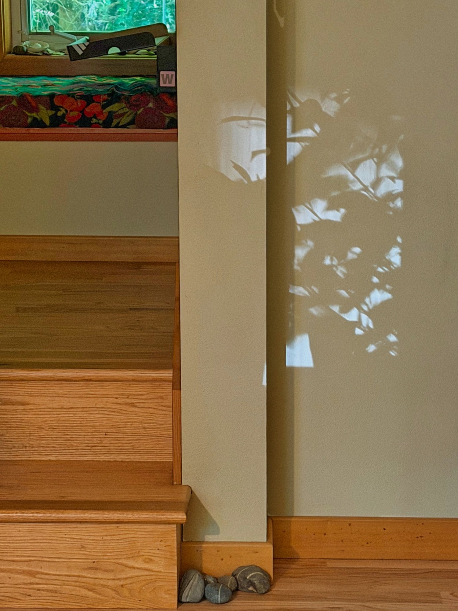 Wall Shadow by Paul Brians