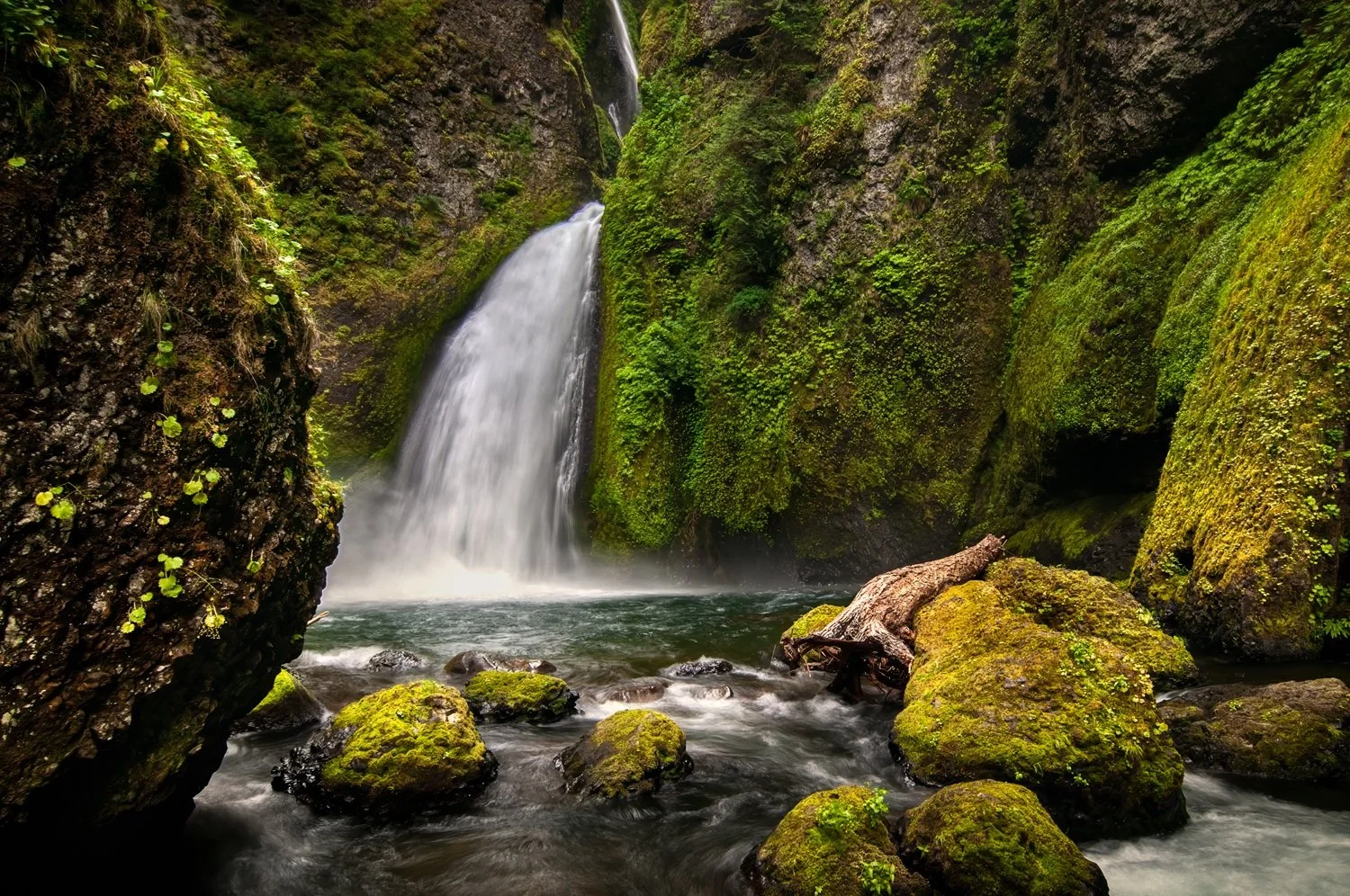 Wahclella Falls by Chuck Eklund