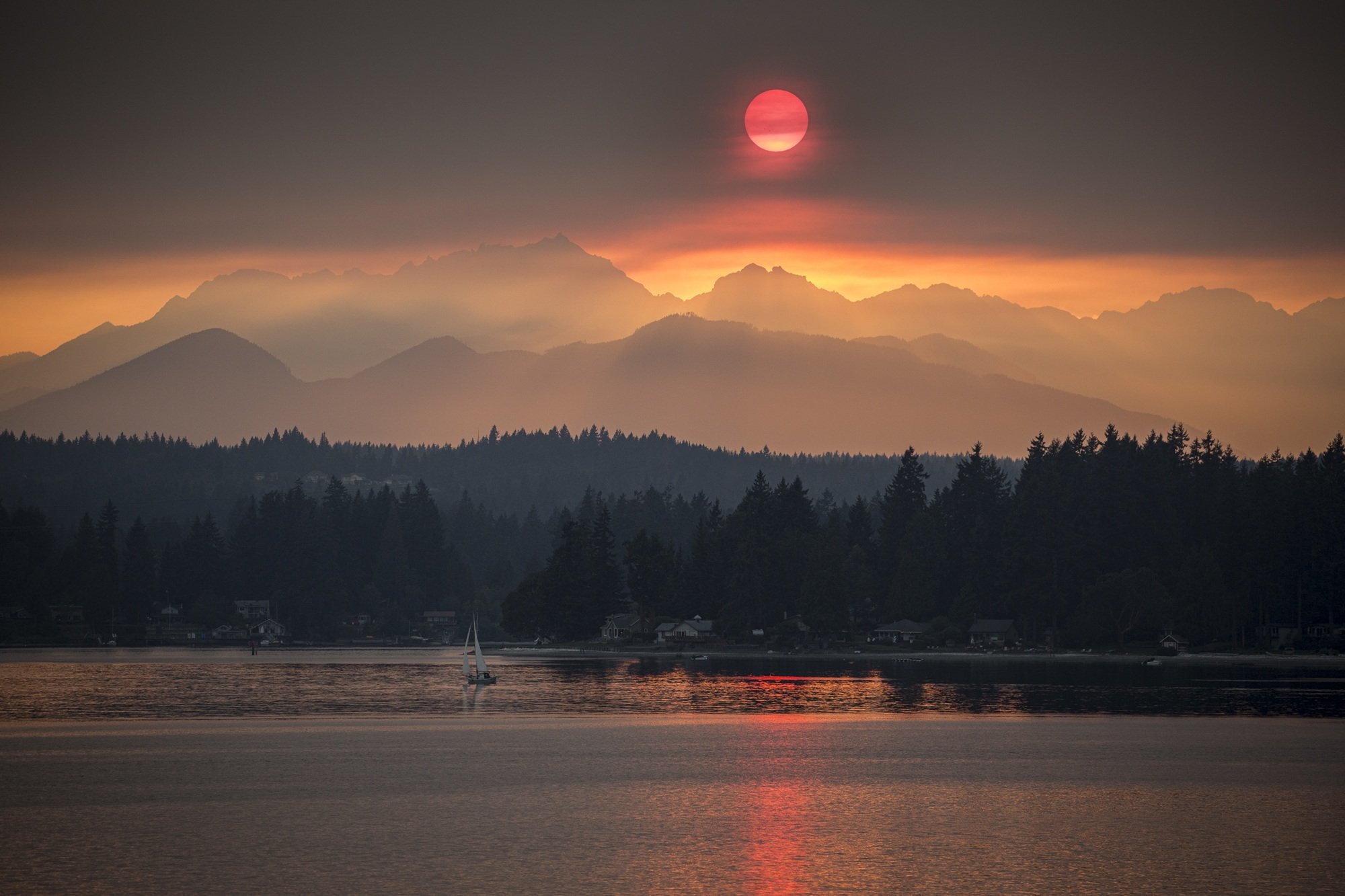  3rd Place (90 votes)
Smoke Season by Bob Rosenbladt