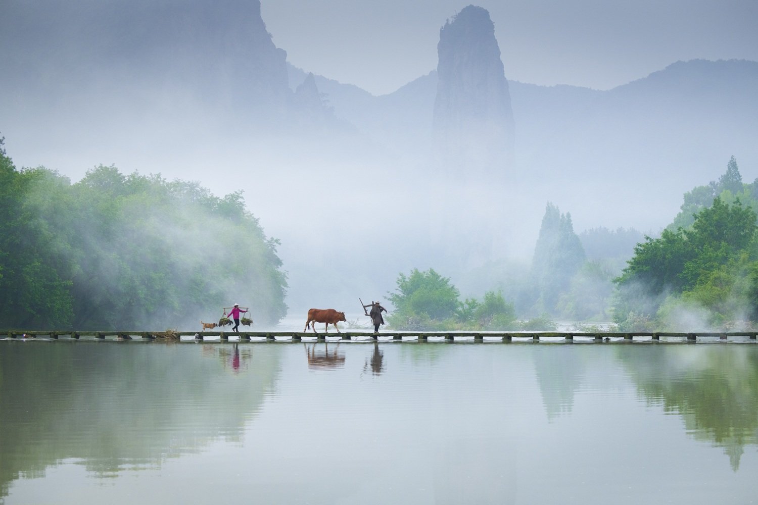 Crossing the Bridge by Yuwei Li