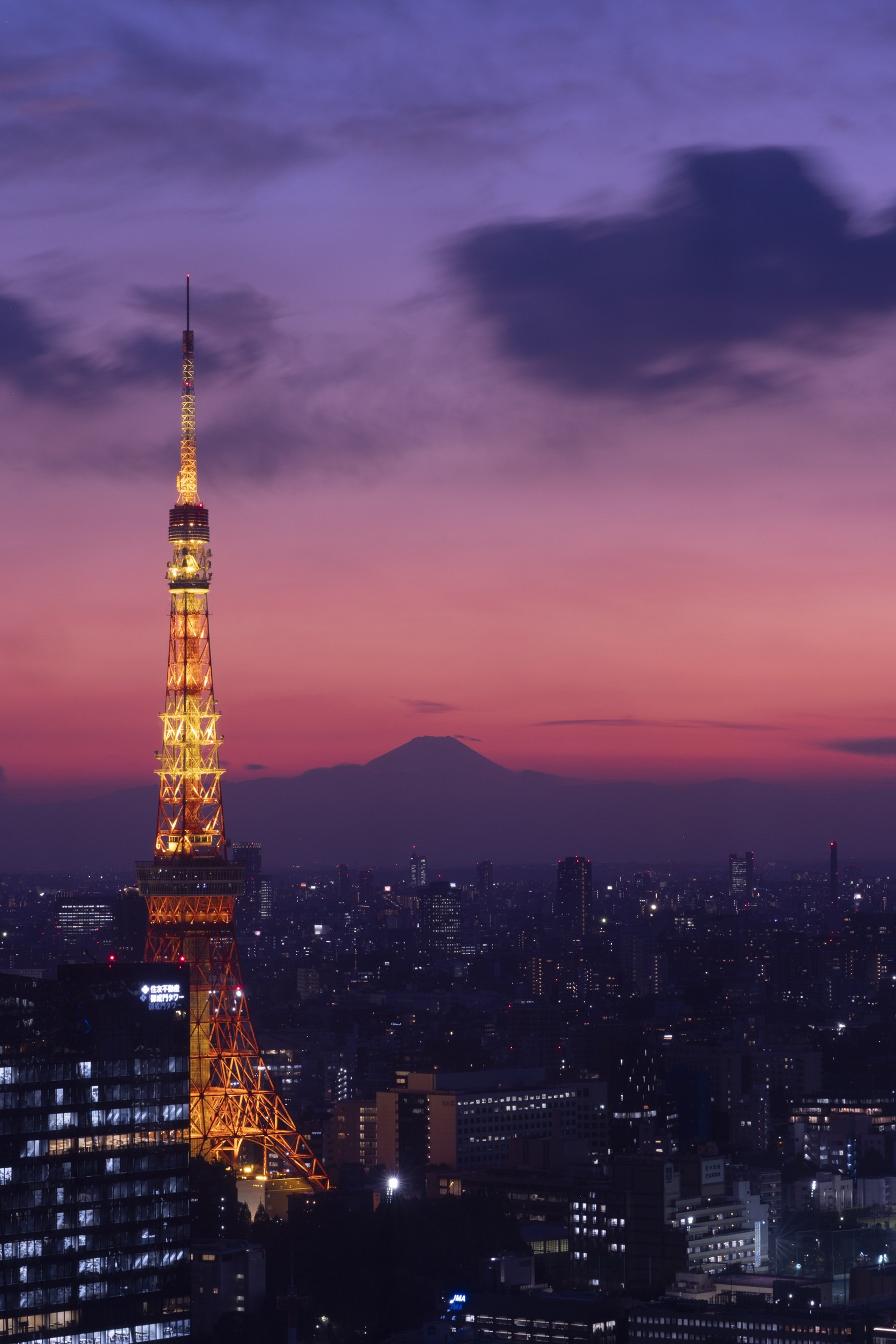 Tokyo Skyline by Bob Rosenbladt