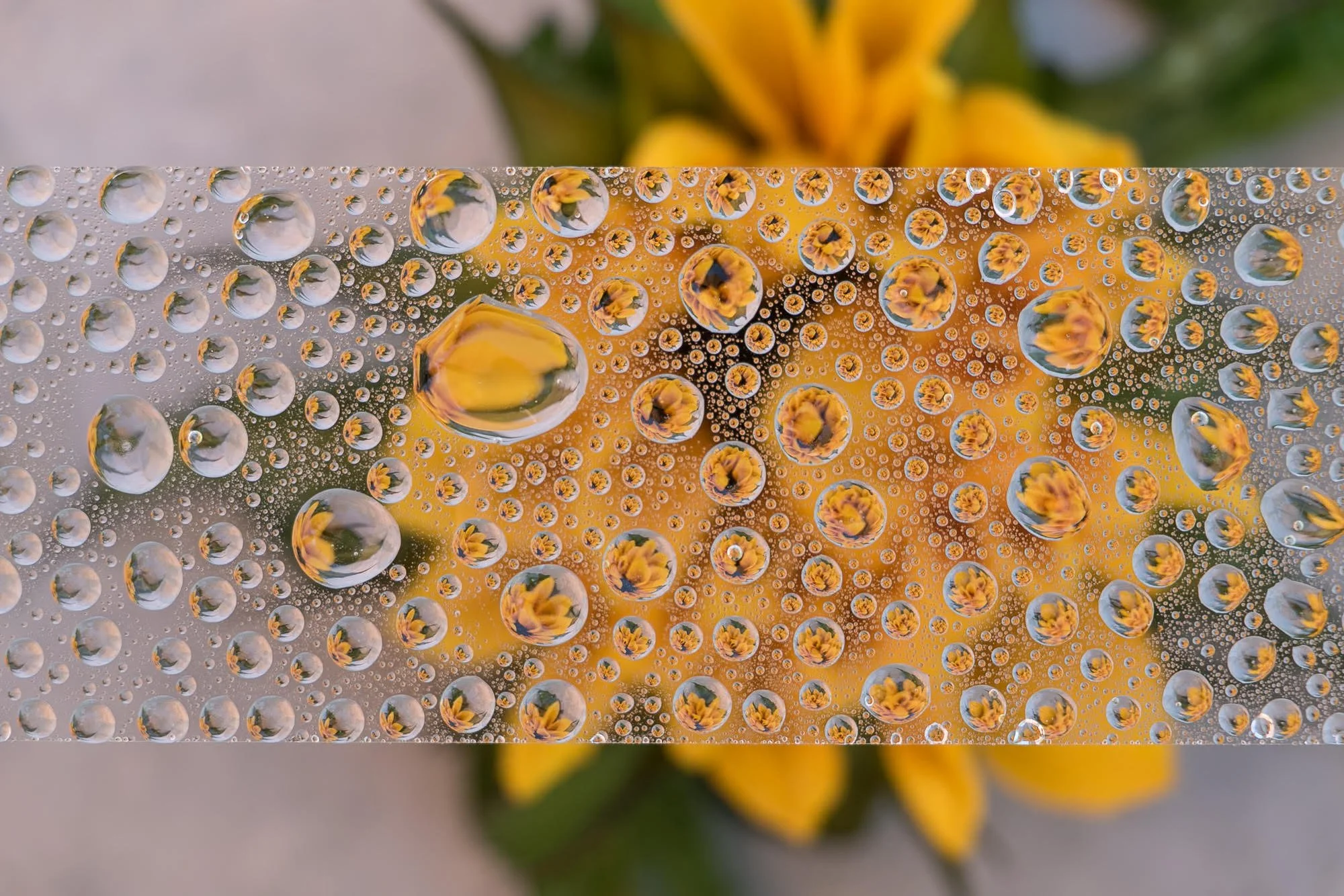 Drops #1 by Grace Hensley