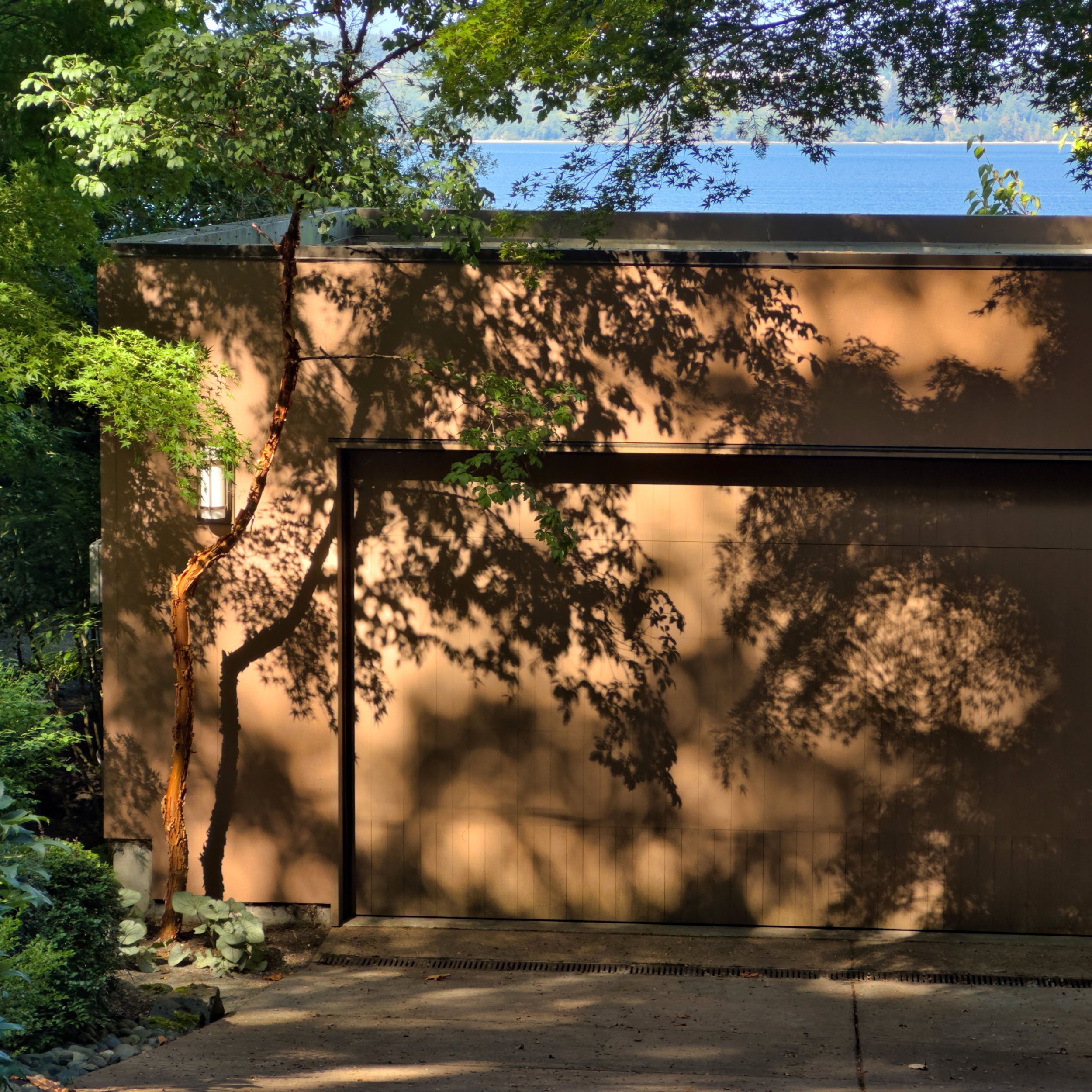 Leaf Shadows on Arrow Point by Paul Brians