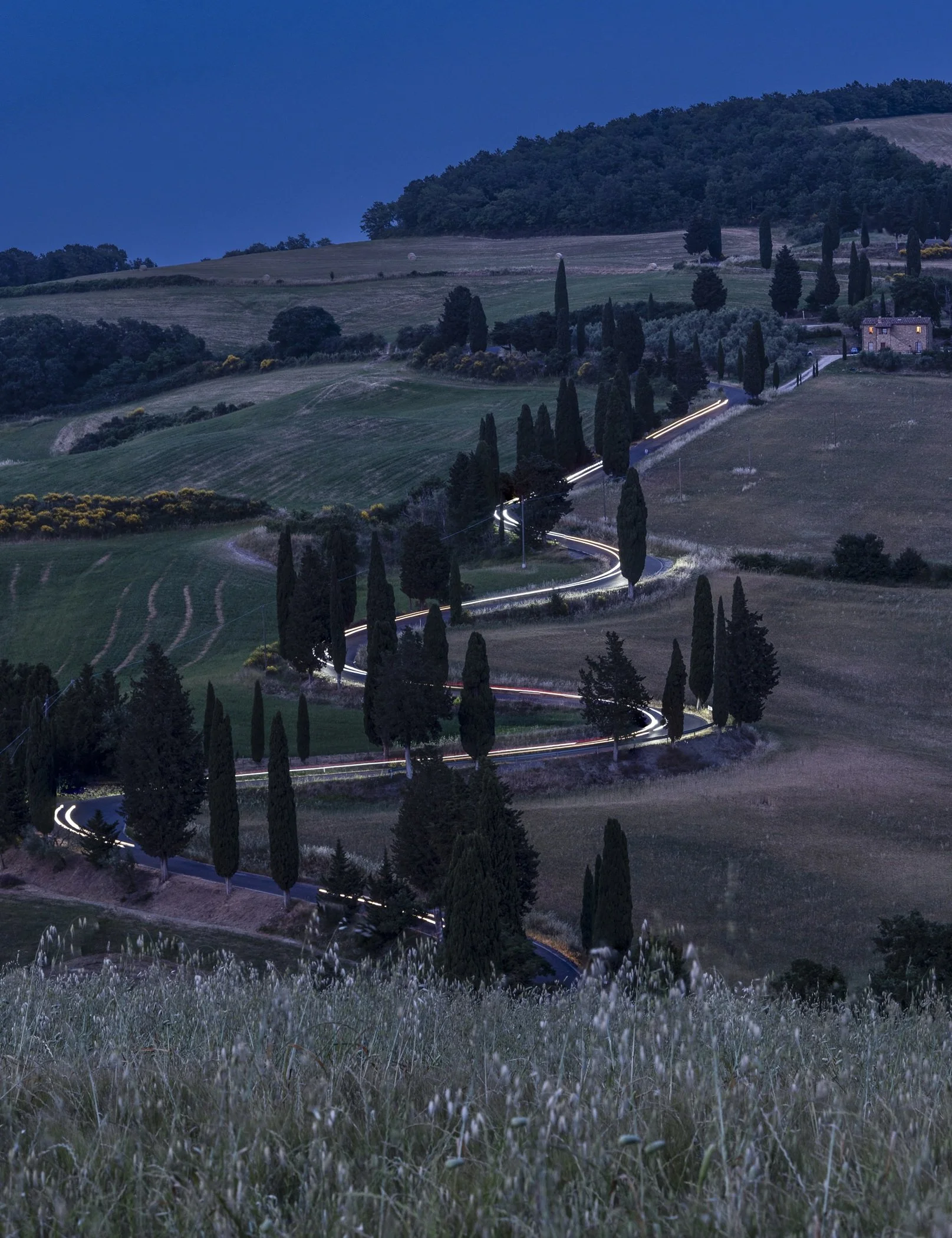 Test Drive by Bob Rosenbladt