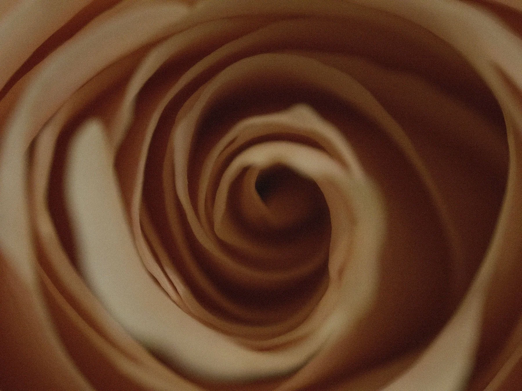 Spirals by Aidan Stokes