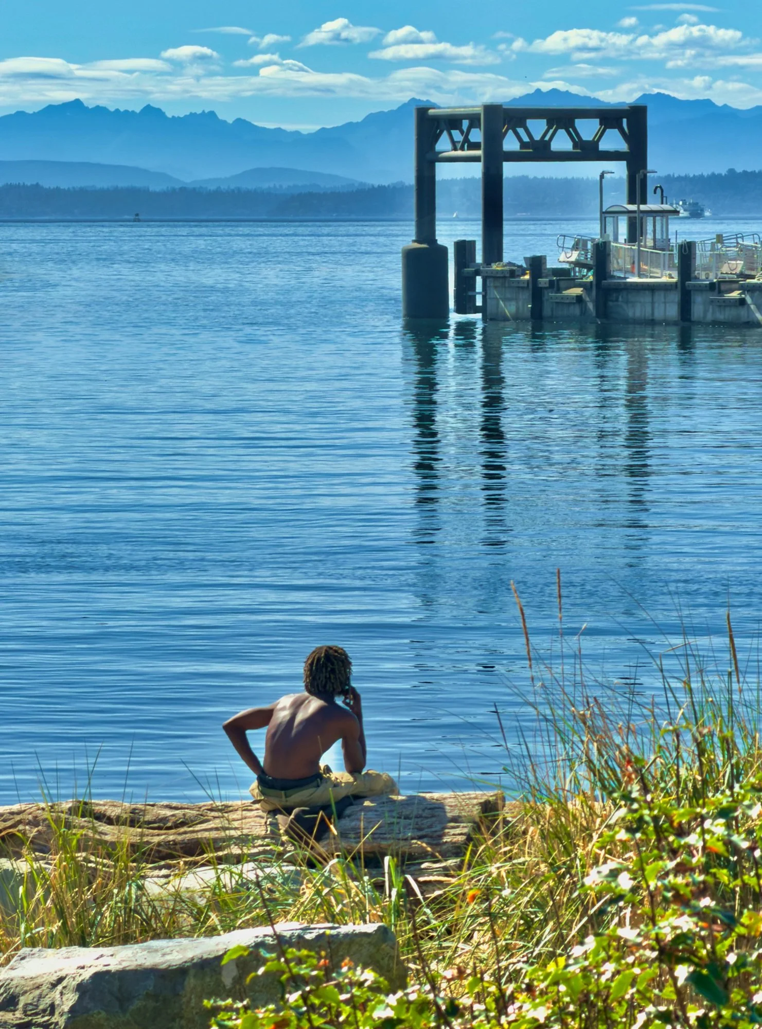 Harbor Contemplation by Paul Brians