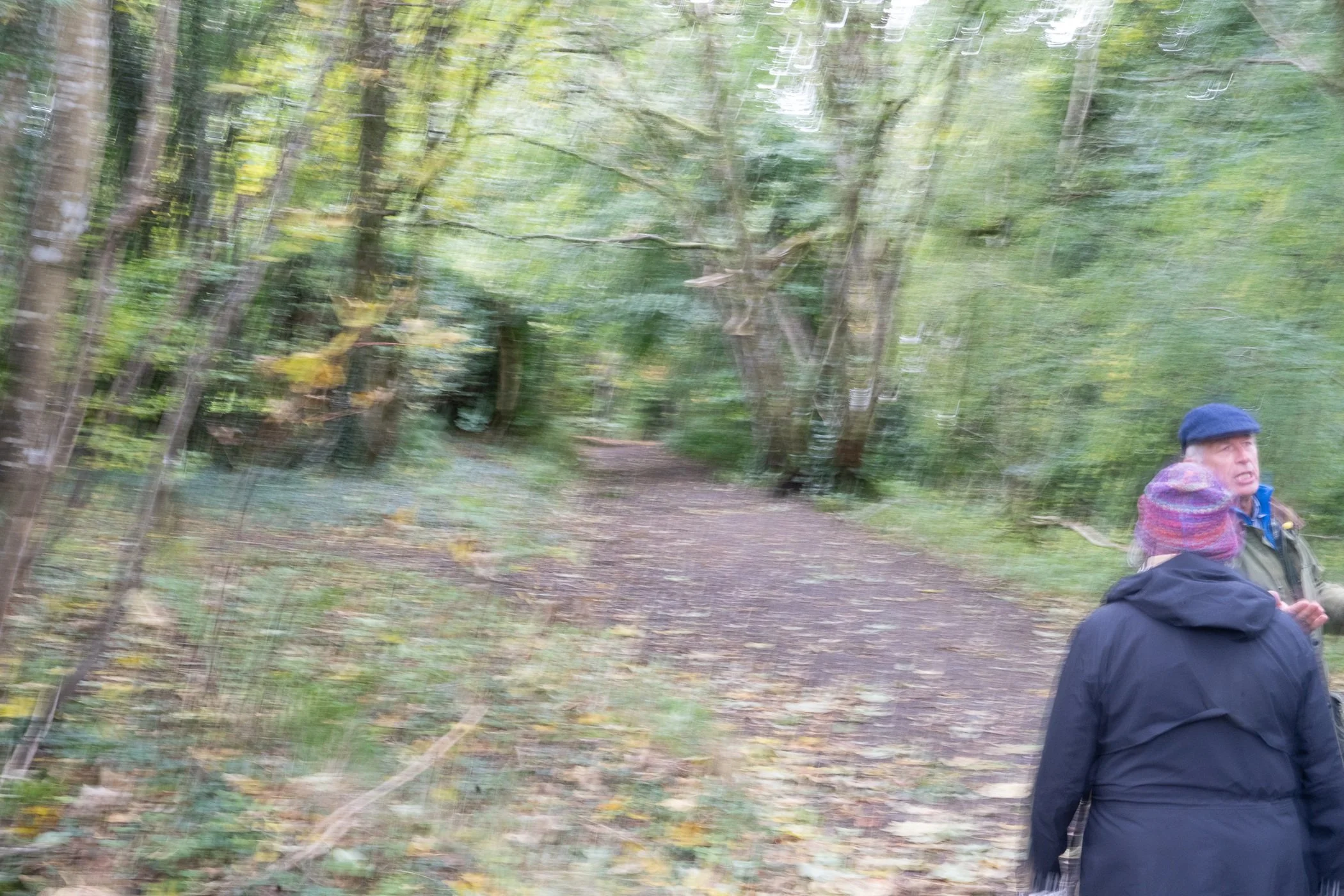 Birnam Woods Moving ICM (Before) by Tom Hansen