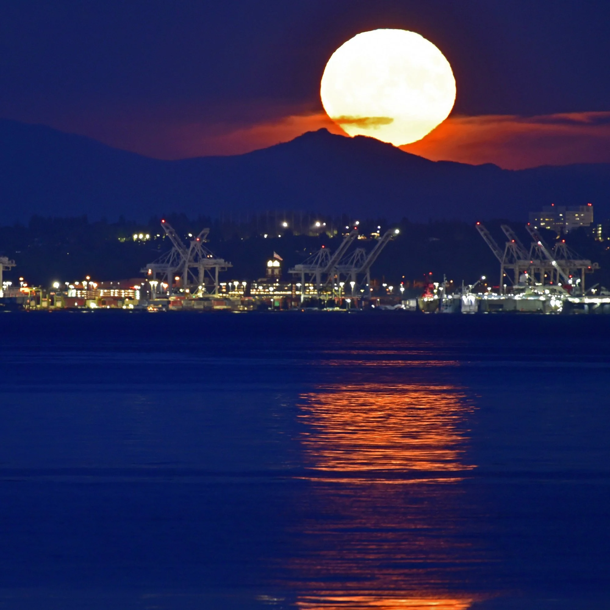 Moon Rise by Irma Suplee