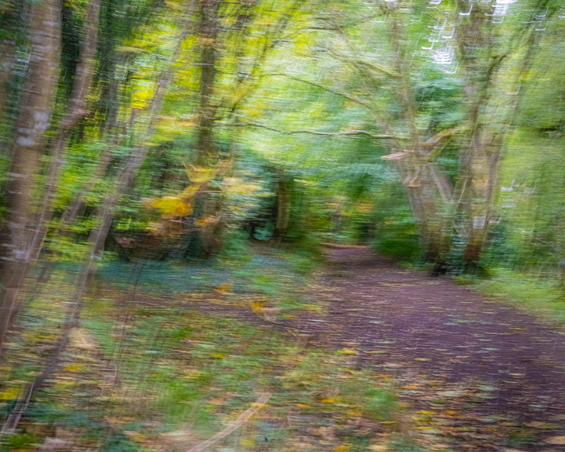 Birnam Woods Moving ICM (After) by Tom Hansen