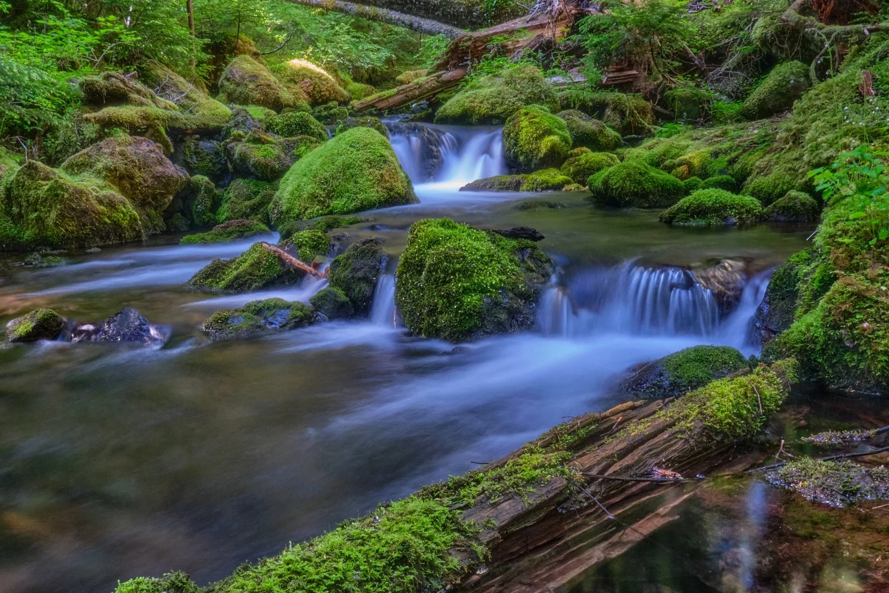 Moss Framed Cascade by Frank Willmann