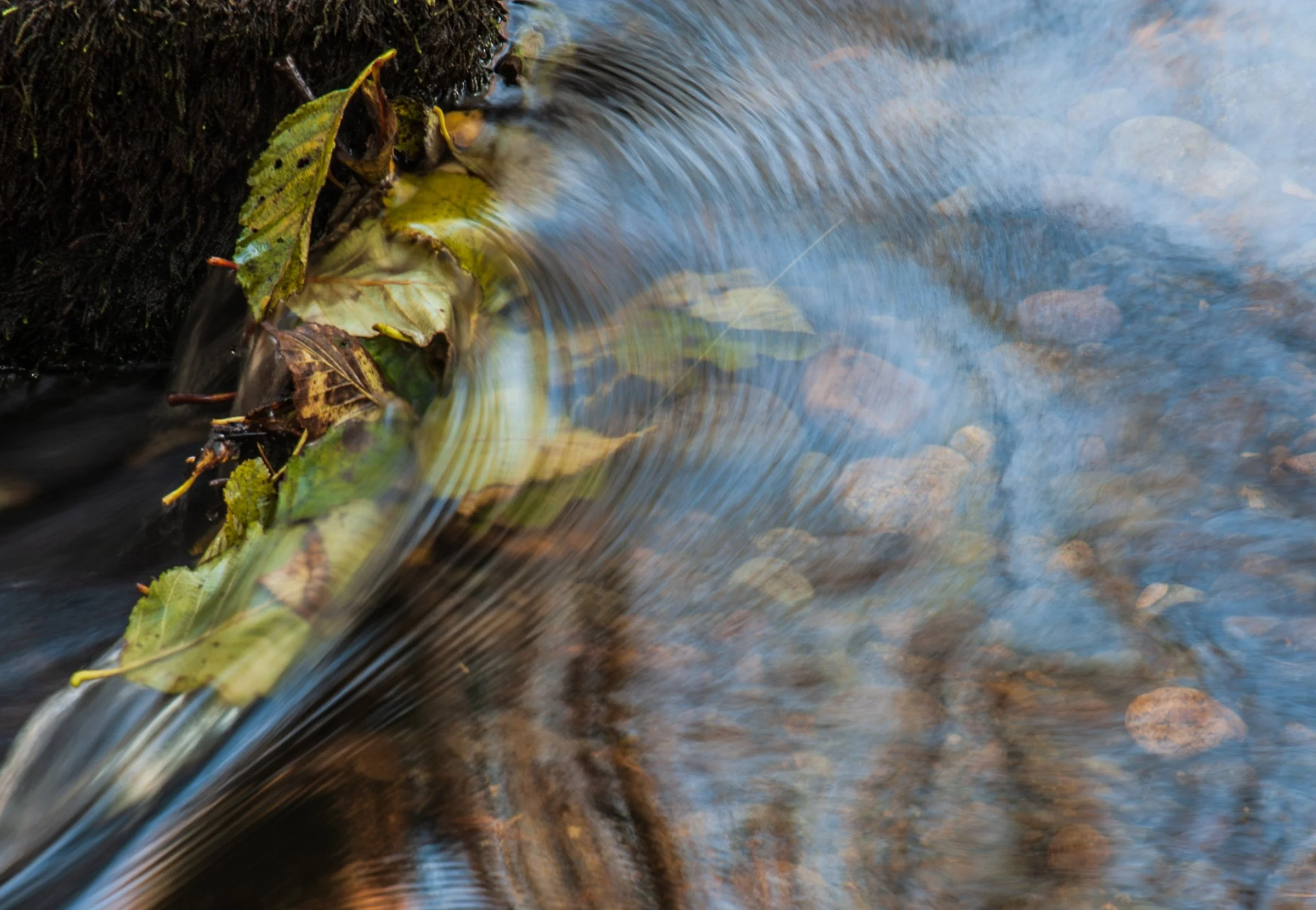 Stream Swirl by Richard Mancuso